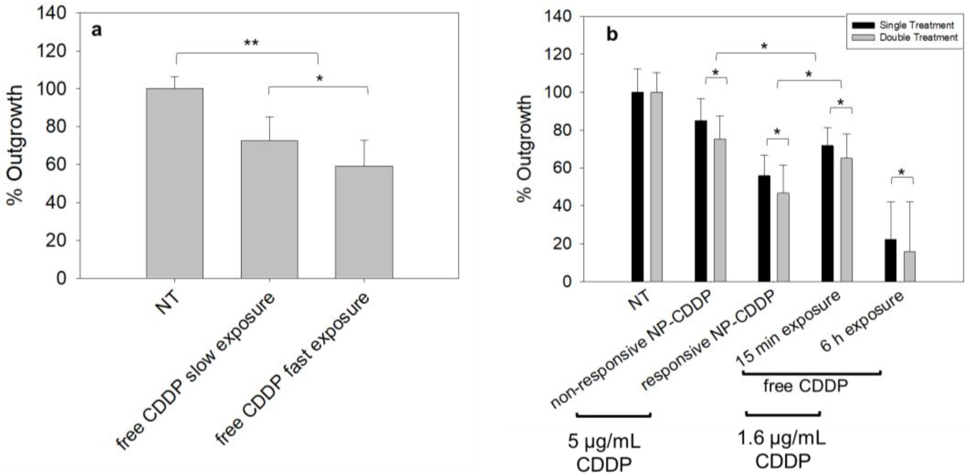 Pharmaceutics 14 02184 g005 Pharmaceutics 14 02184 g005