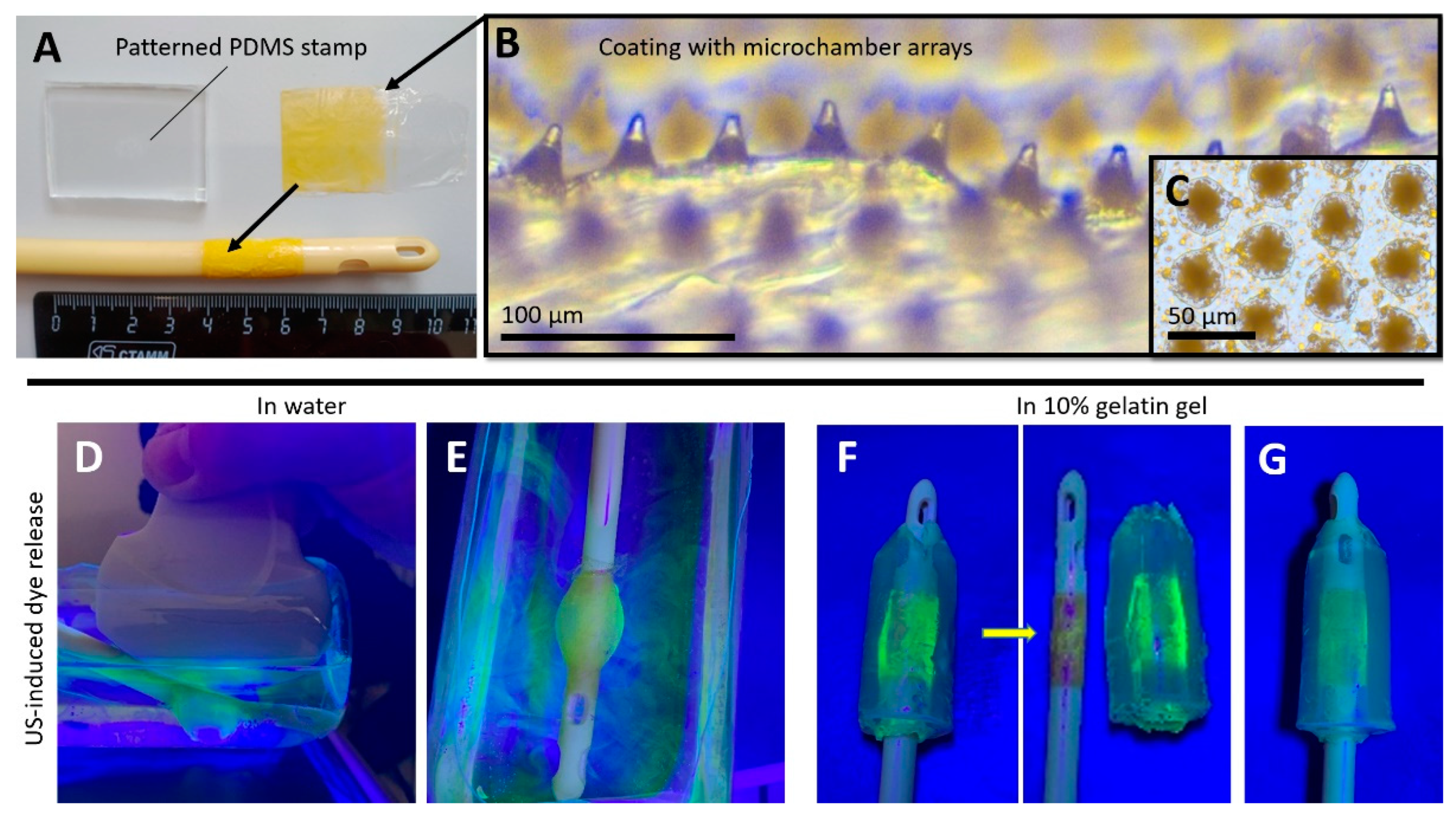 Pharmaceutics 14 02186 g002 Pharmaceutics 14 02186 g002