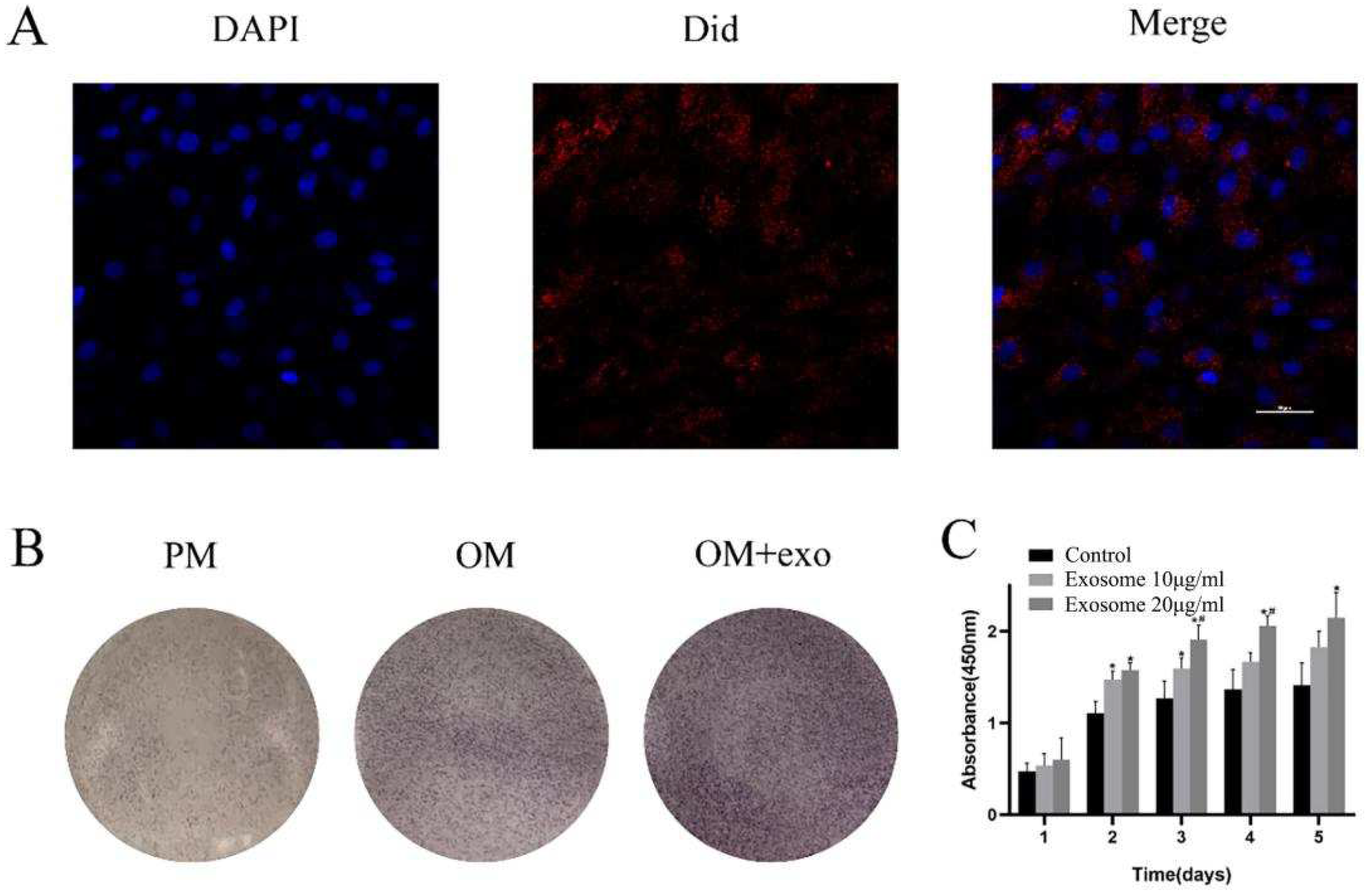 Pharmaceutics 14 02189 g002