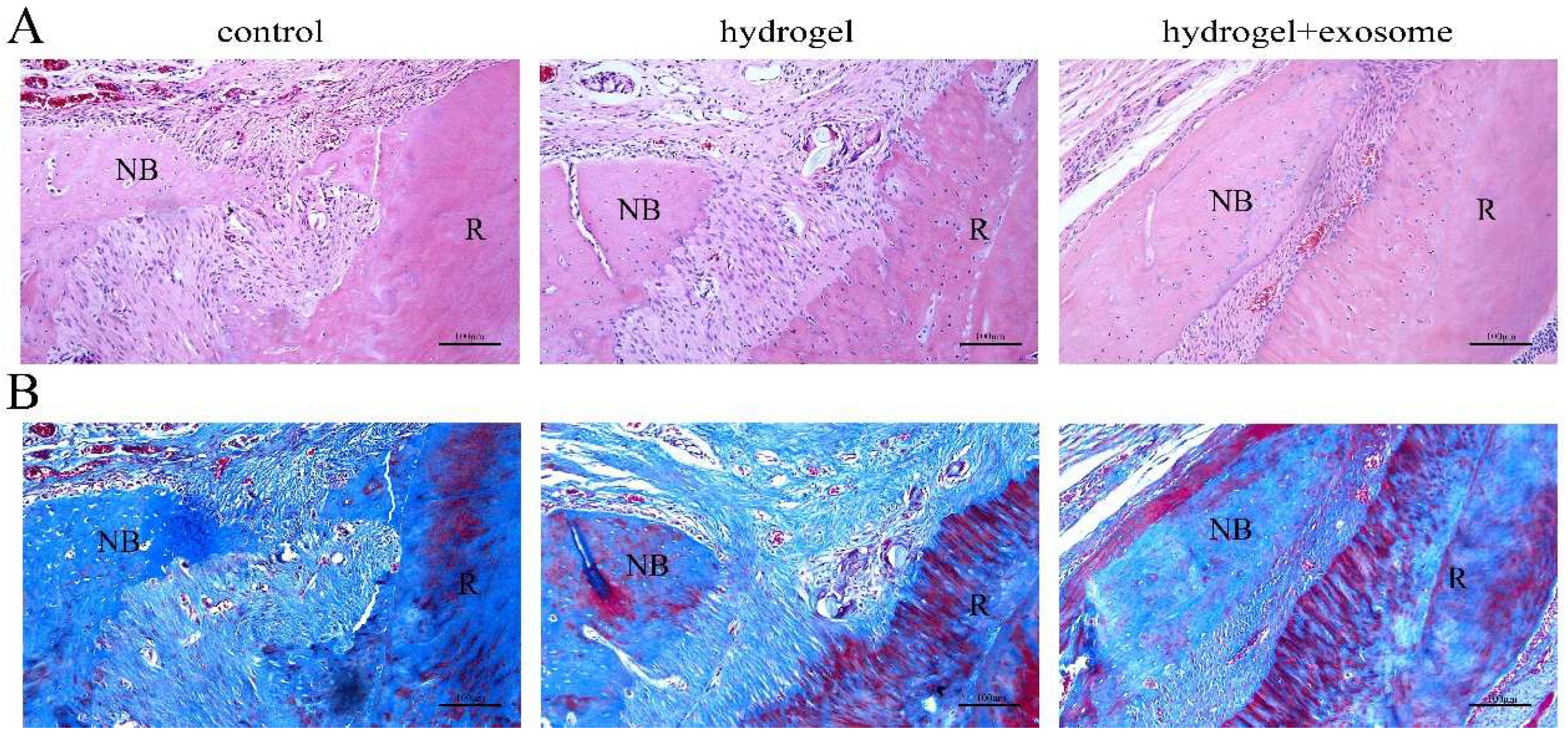 Pharmaceutics 14 02189 g006