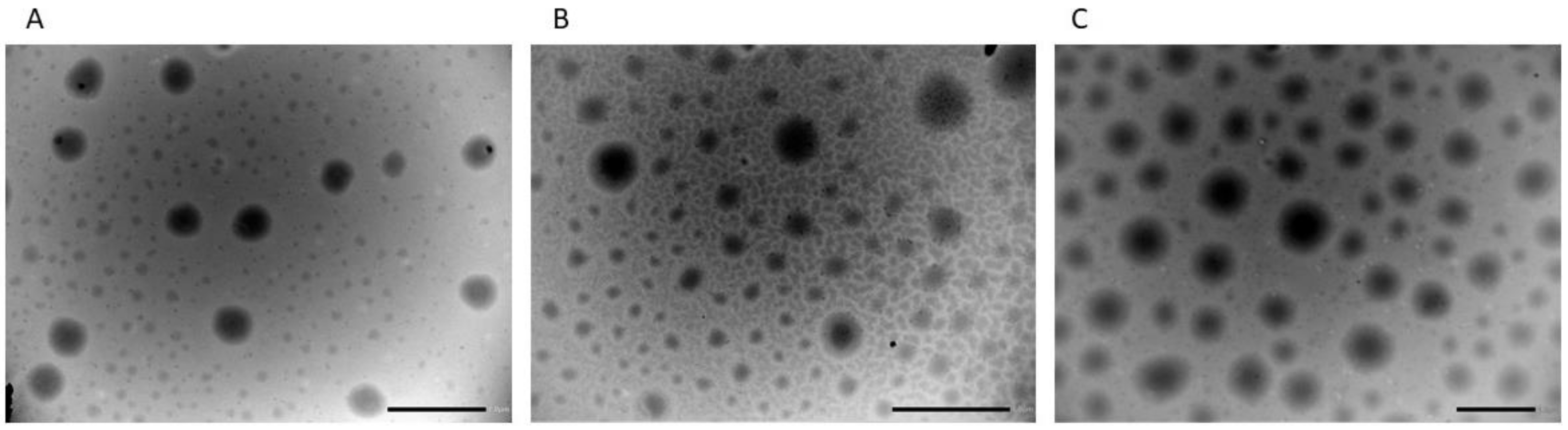Pharmaceutics 14 02190 g001 Pharmaceutics 14 02190 g001