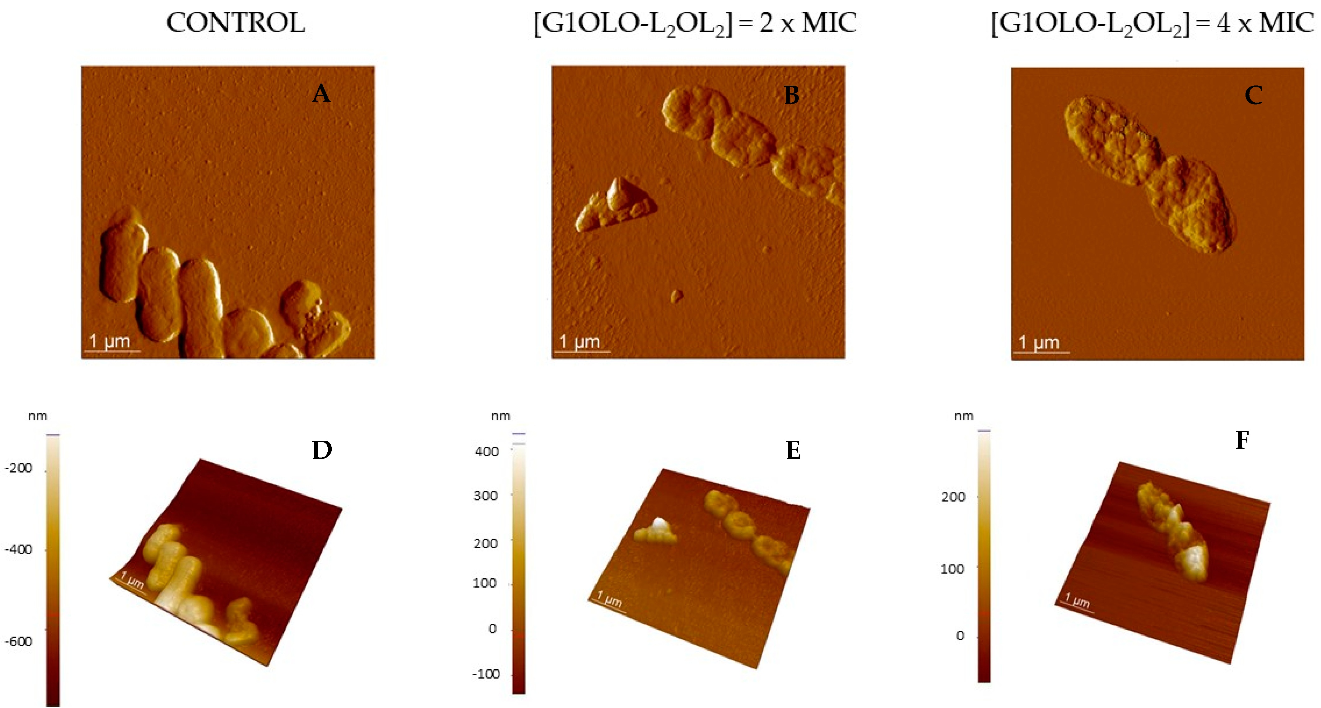 Pharmaceutics 14 02191 g006