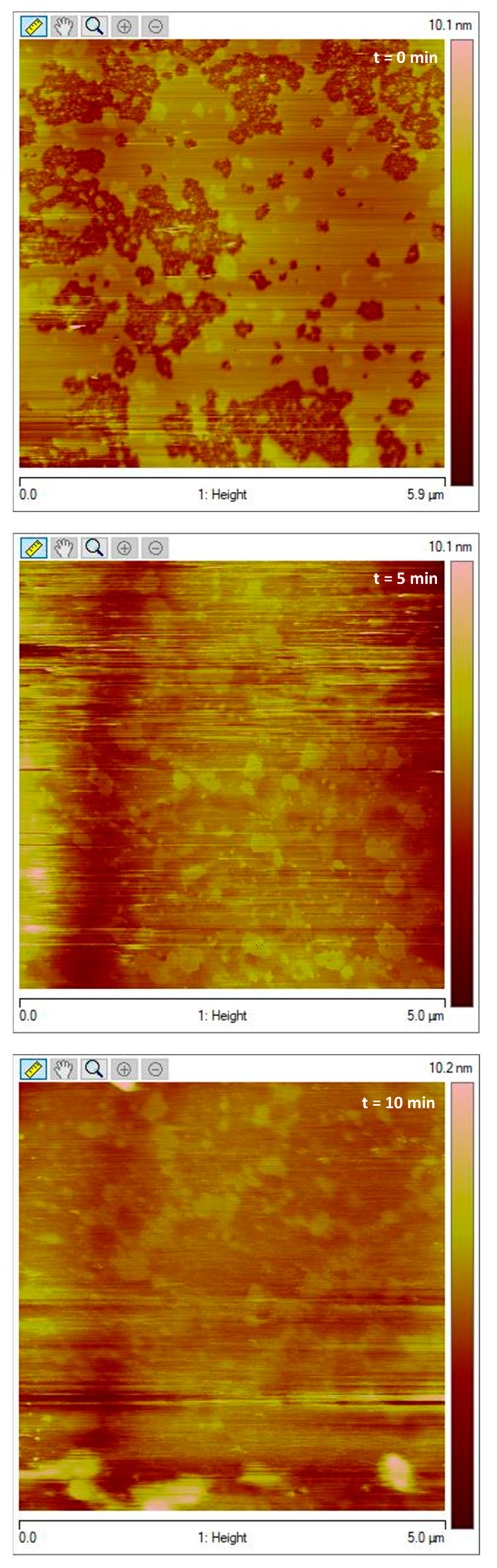 Pharmaceutics 14 02191 g008