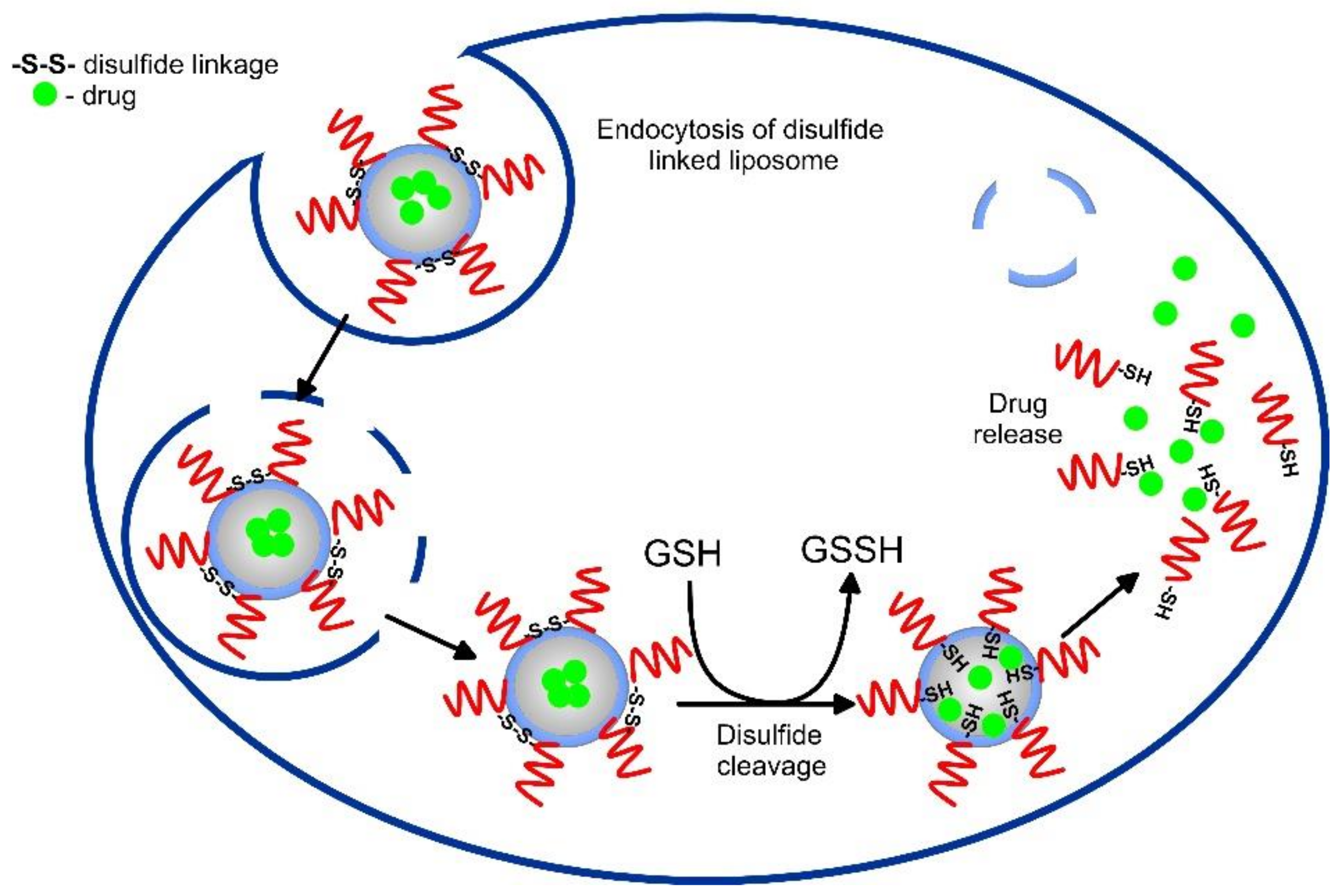 Pharmaceutics 14 02195 g007 Pharmaceutics 14 02195 g007
