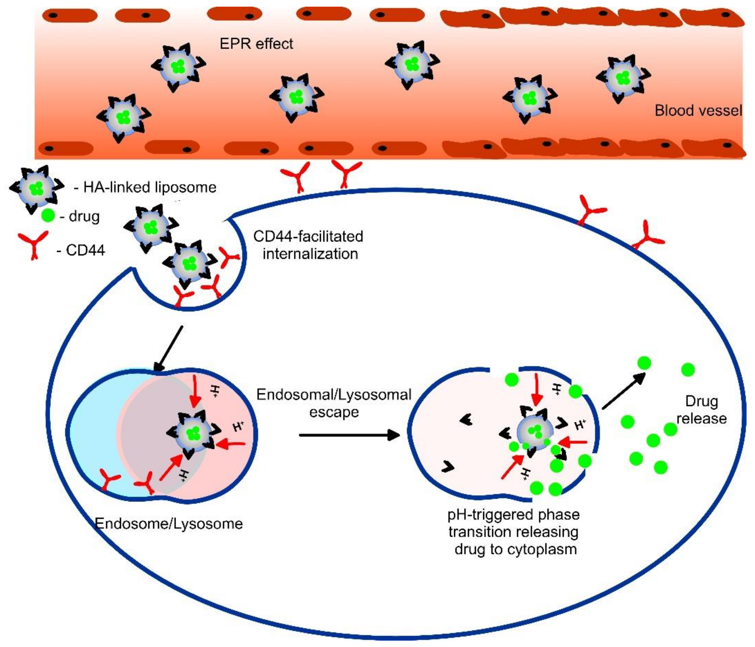 Pharmaceutics 14 02195 g008 Pharmaceutics 14 02195 g008