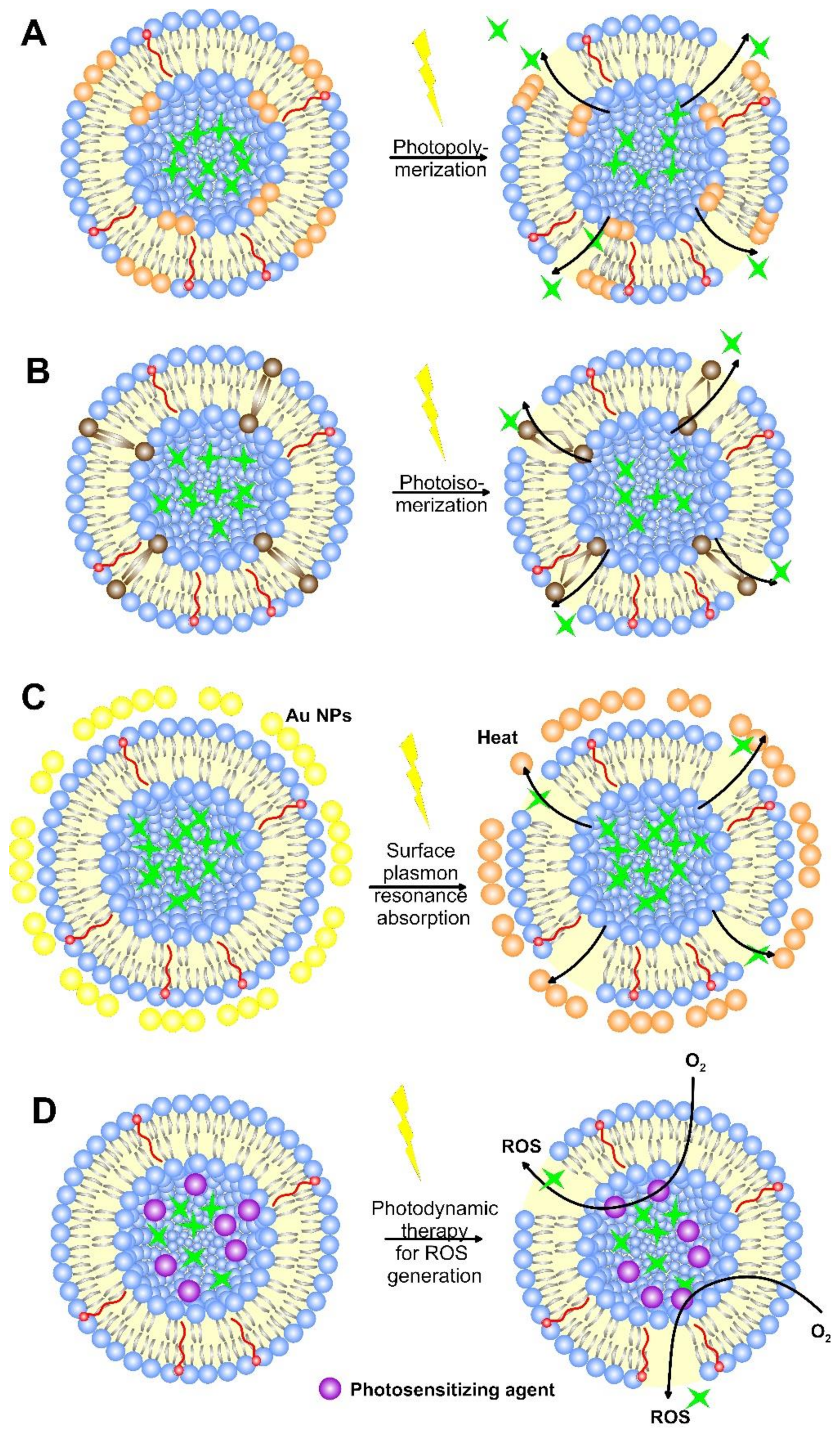 Pharmaceutics 14 02195 g011 Pharmaceutics 14 02195 g011