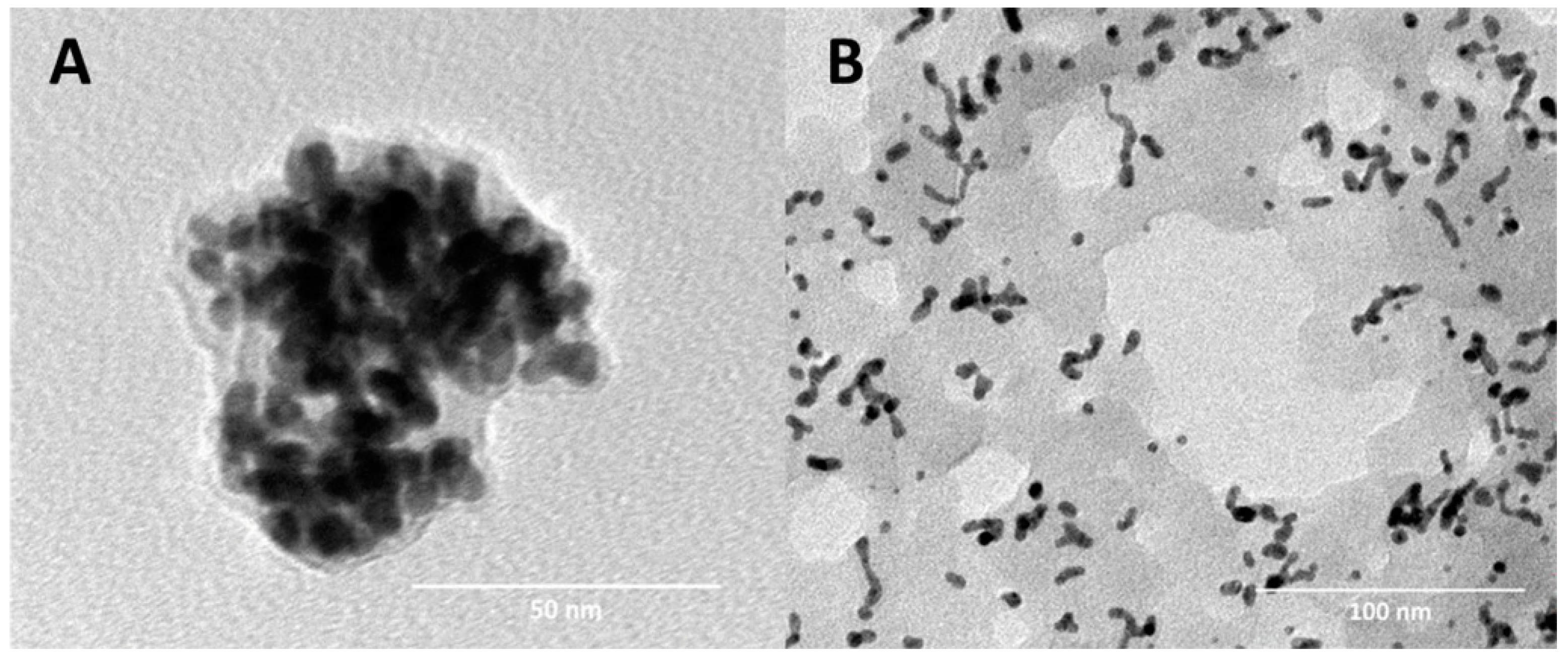 Pharmaceutics 14 02197 g002 Pharmaceutics 14 02197 g002