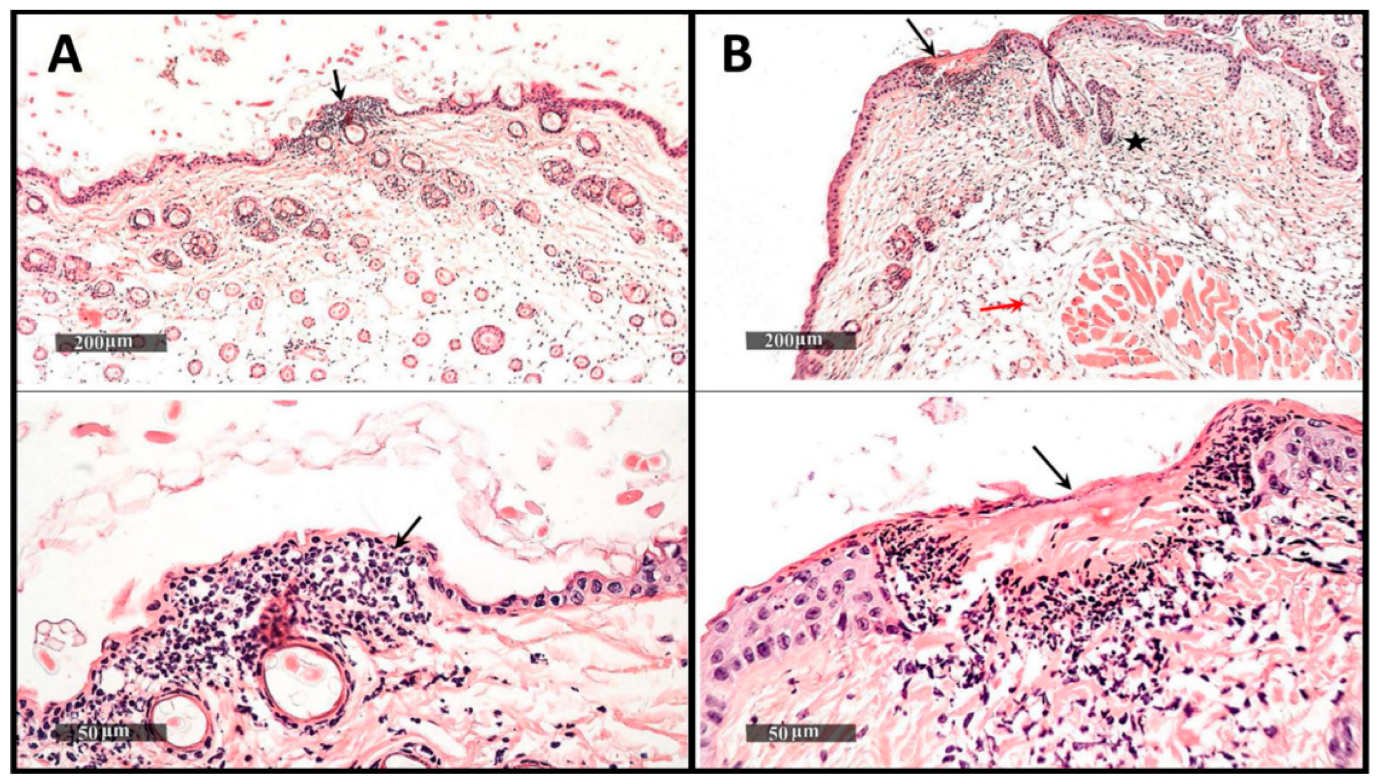 Pharmaceutics 14 02197 g003 Pharmaceutics 14 02197 g003