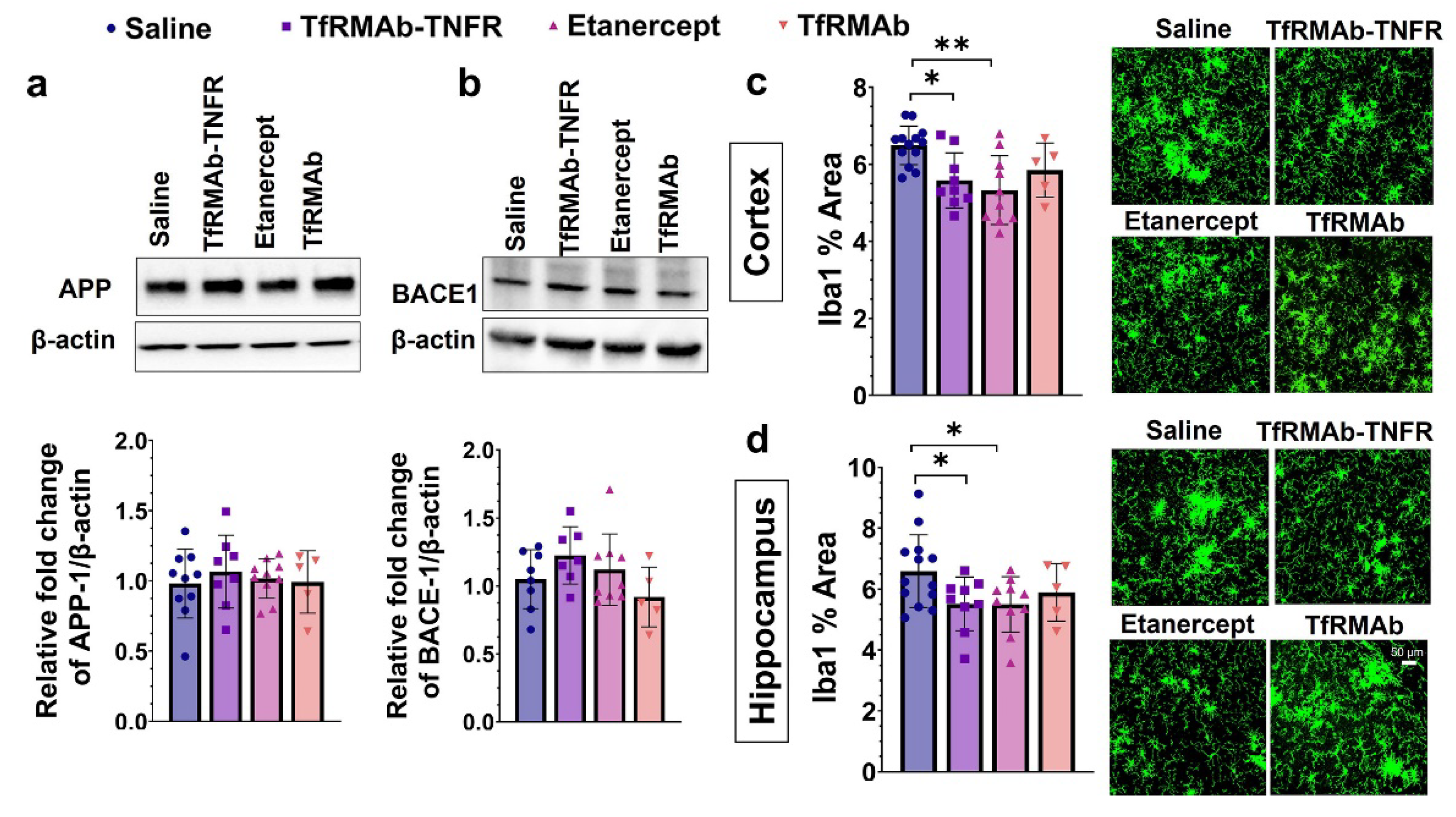 Pharmaceutics 14 02200 g005