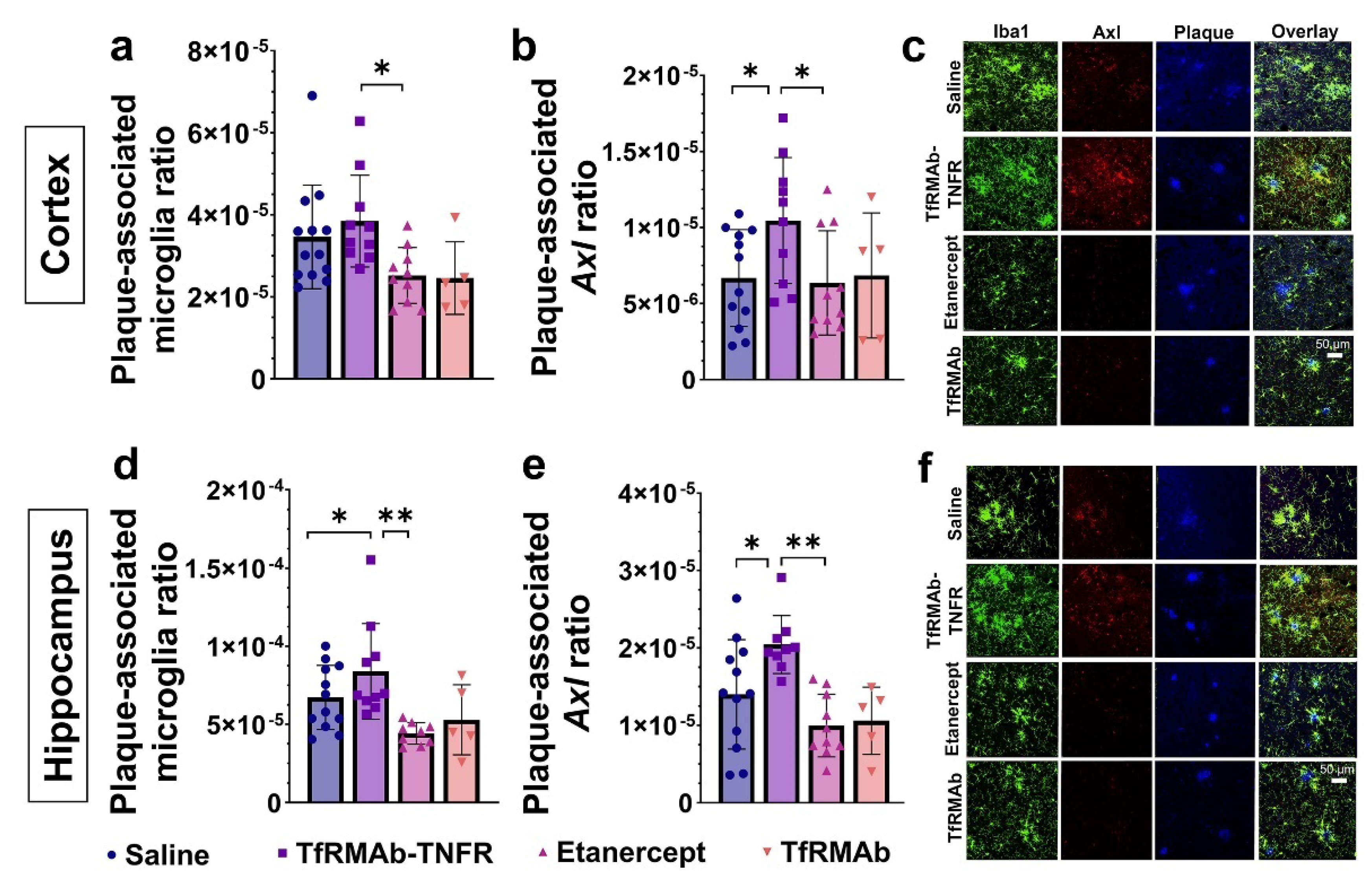 Pharmaceutics 14 02200 g006