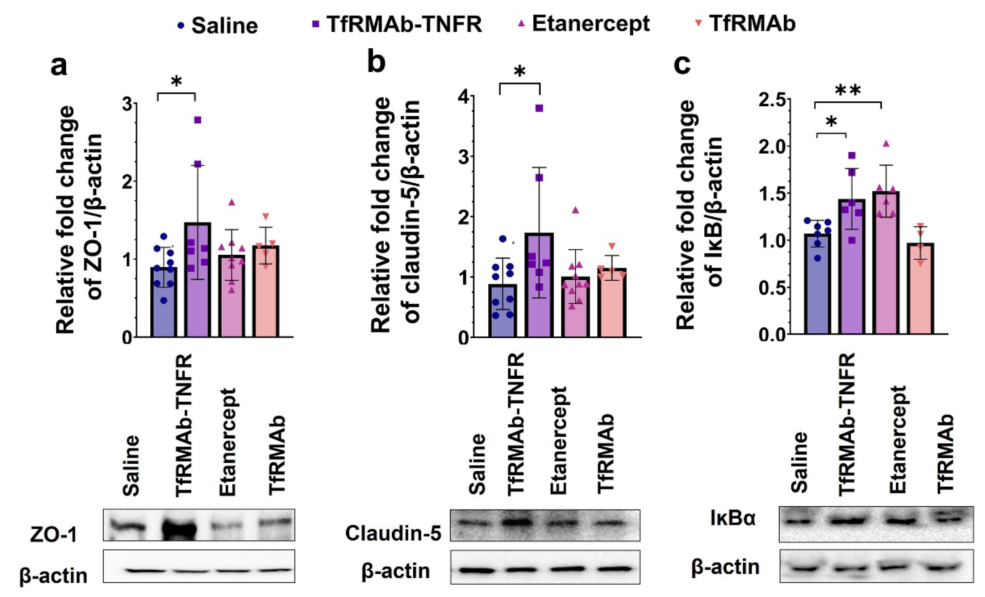 Pharmaceutics 14 02200 g007