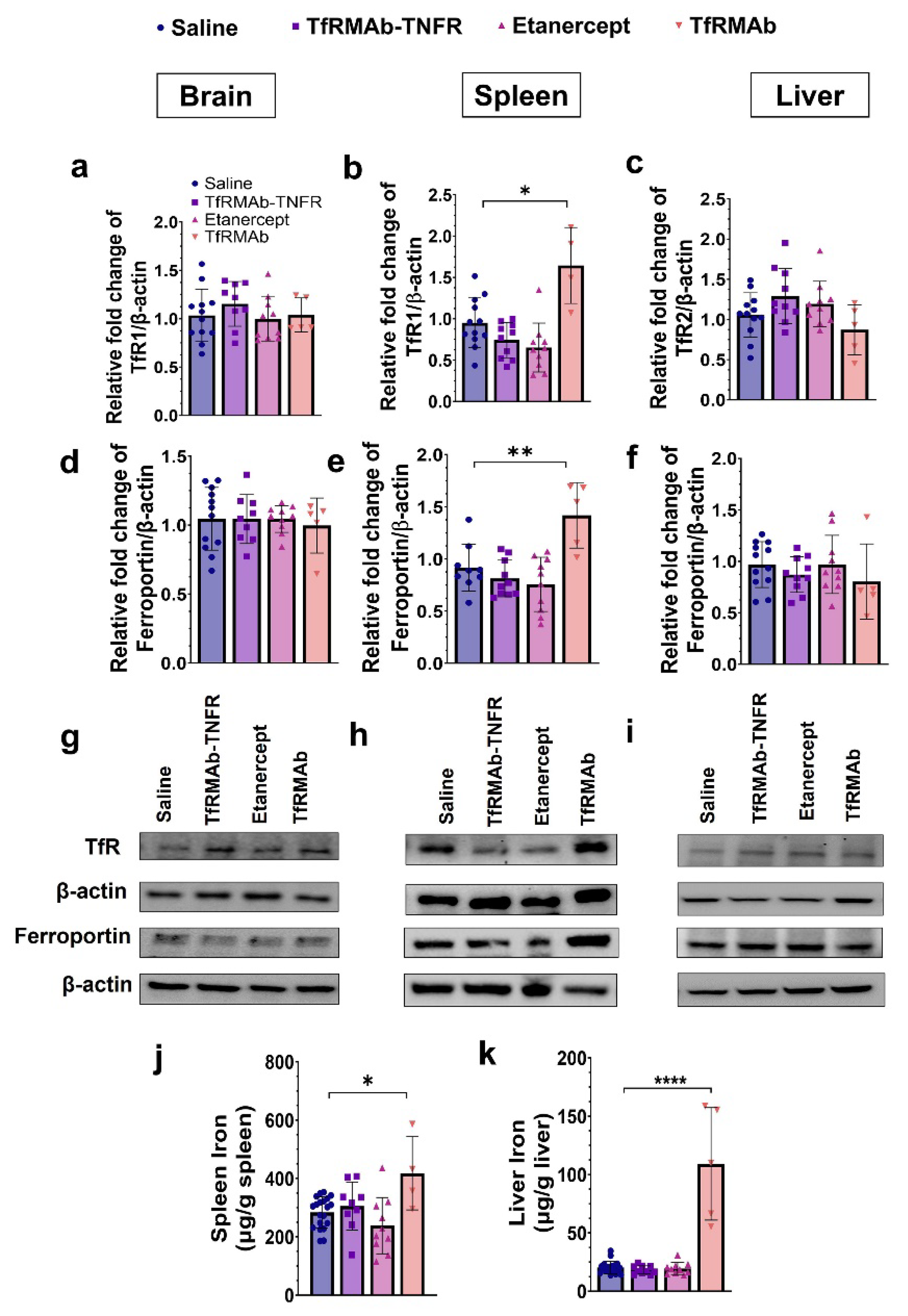 Pharmaceutics 14 02200 g009
