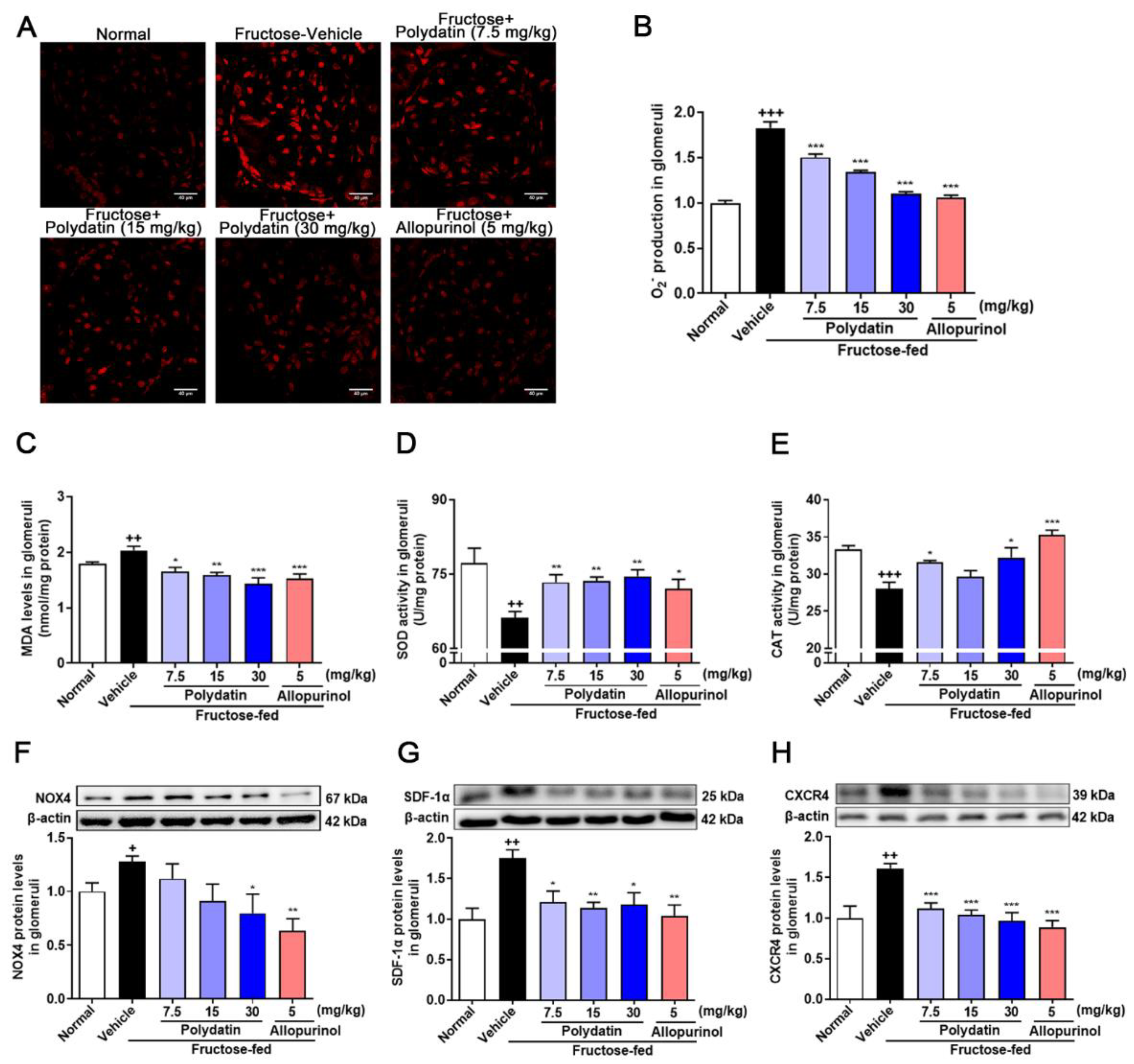 Pharmaceutics 14 02202 g005 Pharmaceutics 14 02202 g005