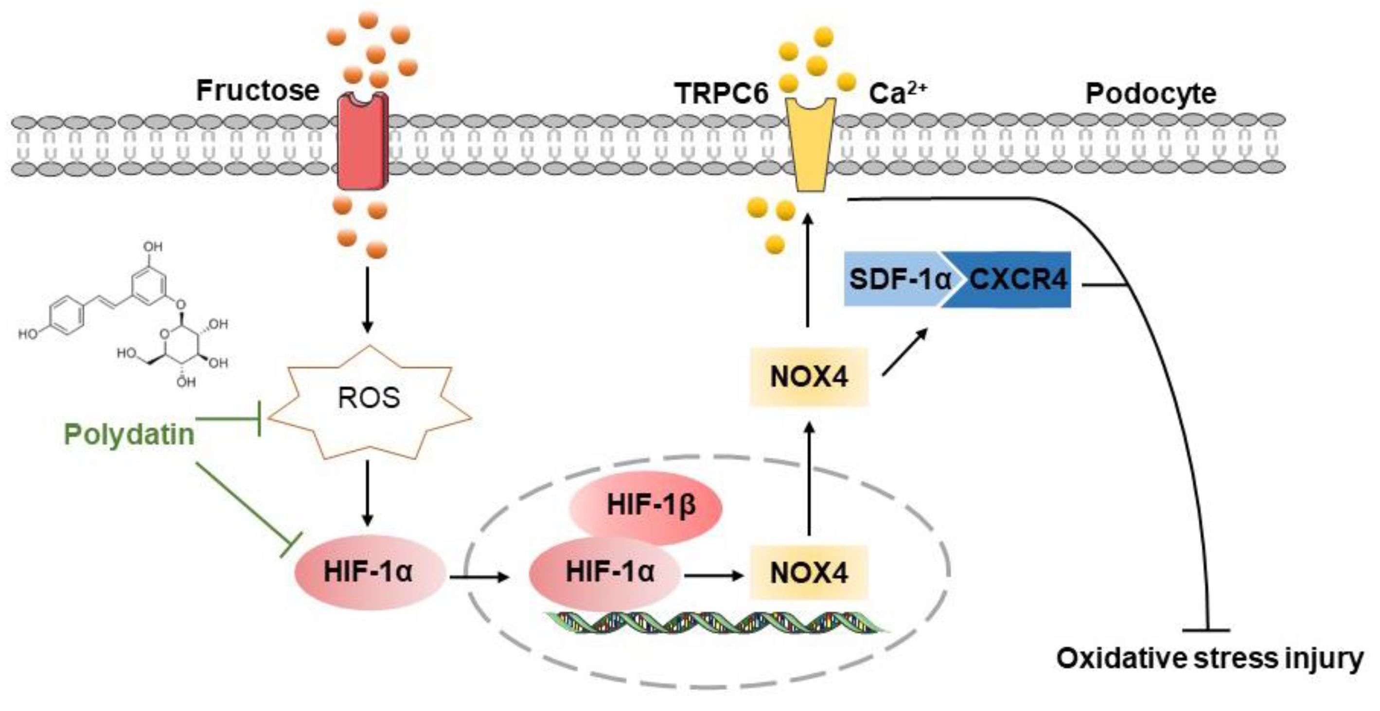 Pharmaceutics 14 02202 g007 Pharmaceutics 14 02202 g007