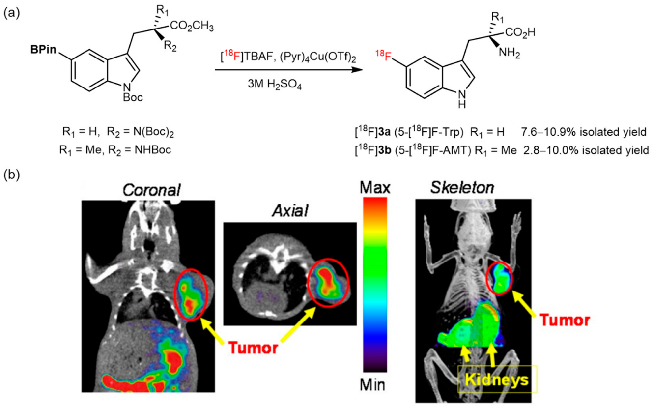 Pharmaceutics 14 02207 g003 Pharmaceutics 14 02207 g003