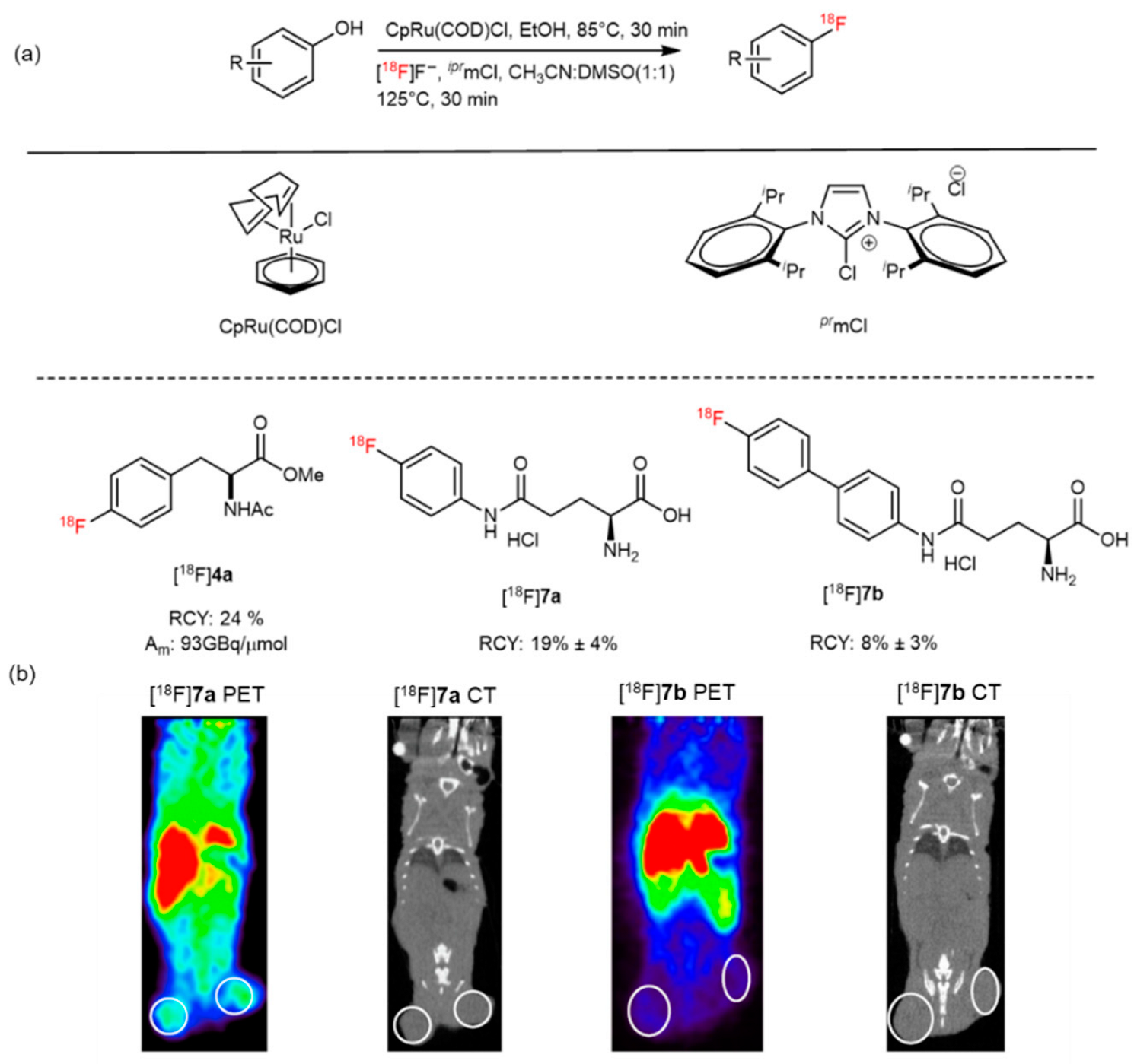Pharmaceutics 14 02207 g009 Pharmaceutics 14 02207 g009