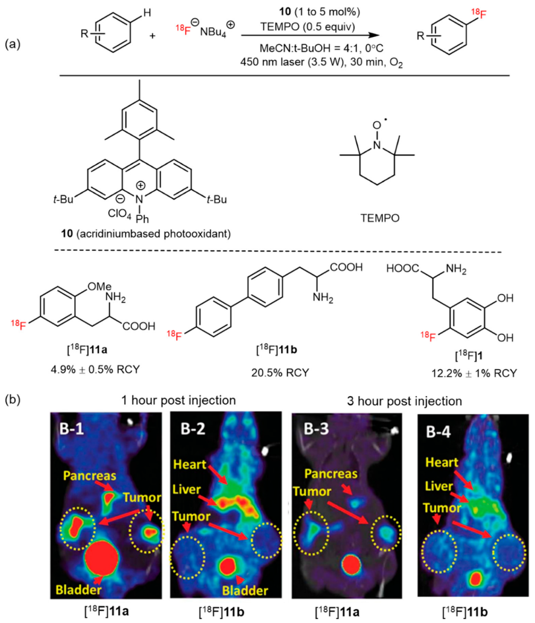 Pharmaceutics 14 02207 g012 Pharmaceutics 14 02207 g012