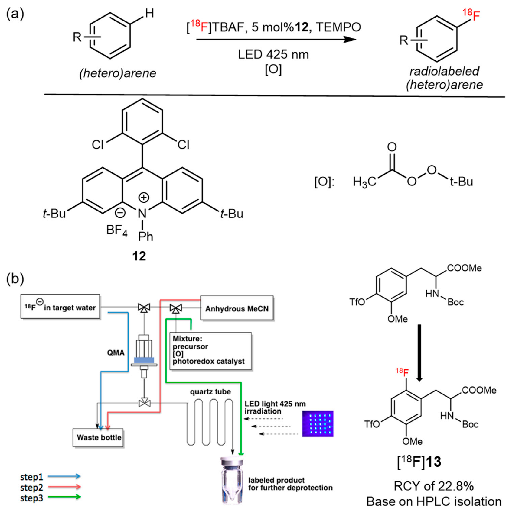 Pharmaceutics 14 02207 g013 Pharmaceutics 14 02207 g013