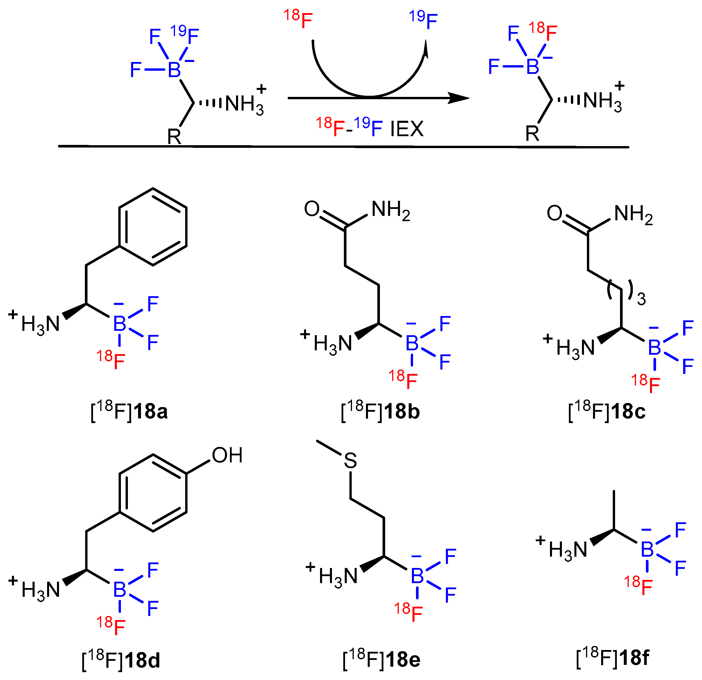 Pharmaceutics 14 02207 g018 Pharmaceutics 14 02207 g018