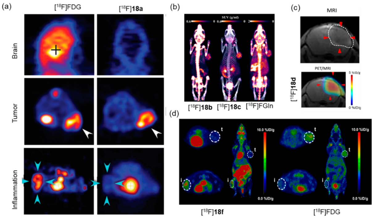 Pharmaceutics 14 02207 g019 Pharmaceutics 14 02207 g019
