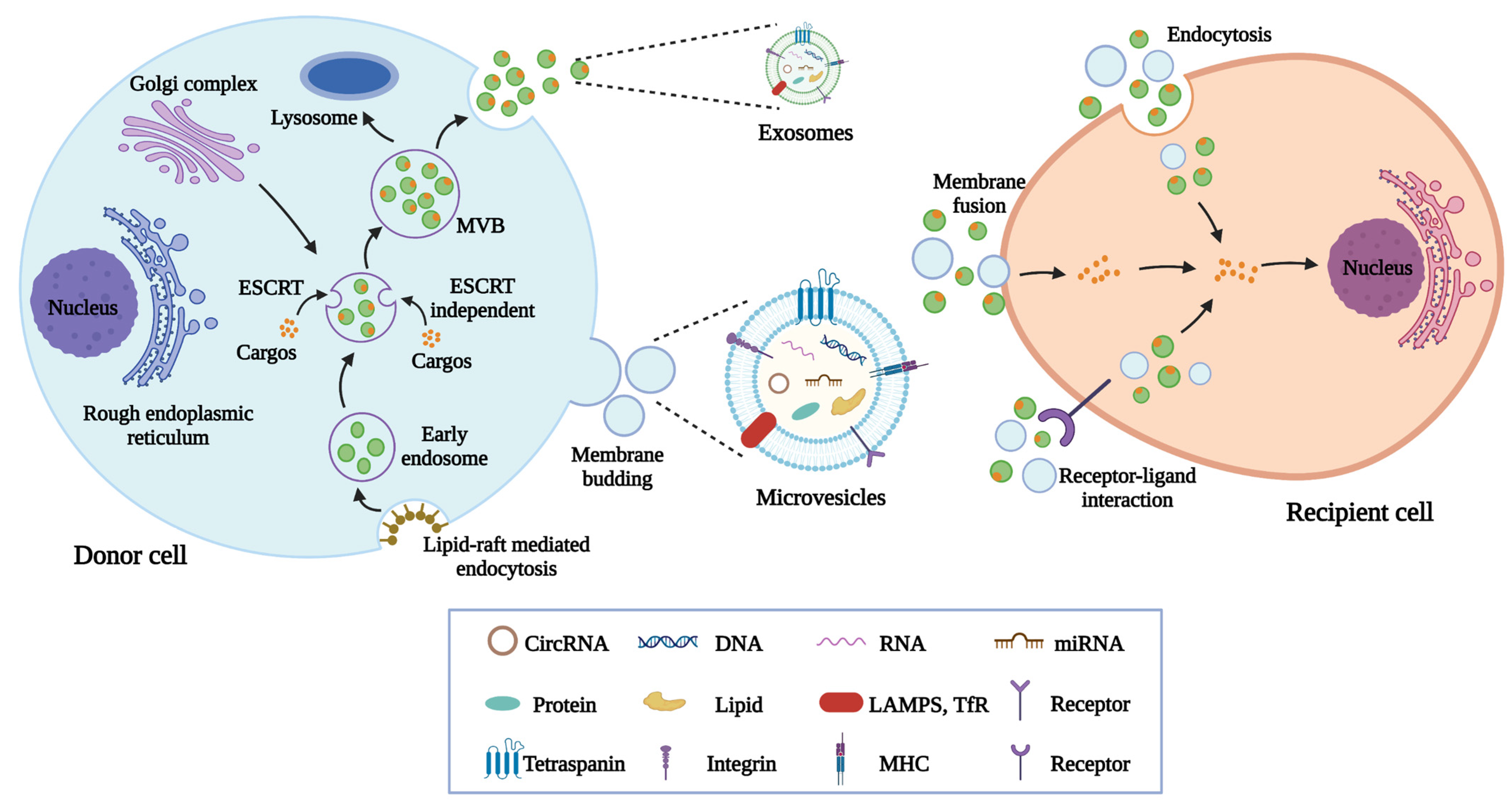Pharmaceutics 14 02208 g001 Pharmaceutics 14 02208 g001