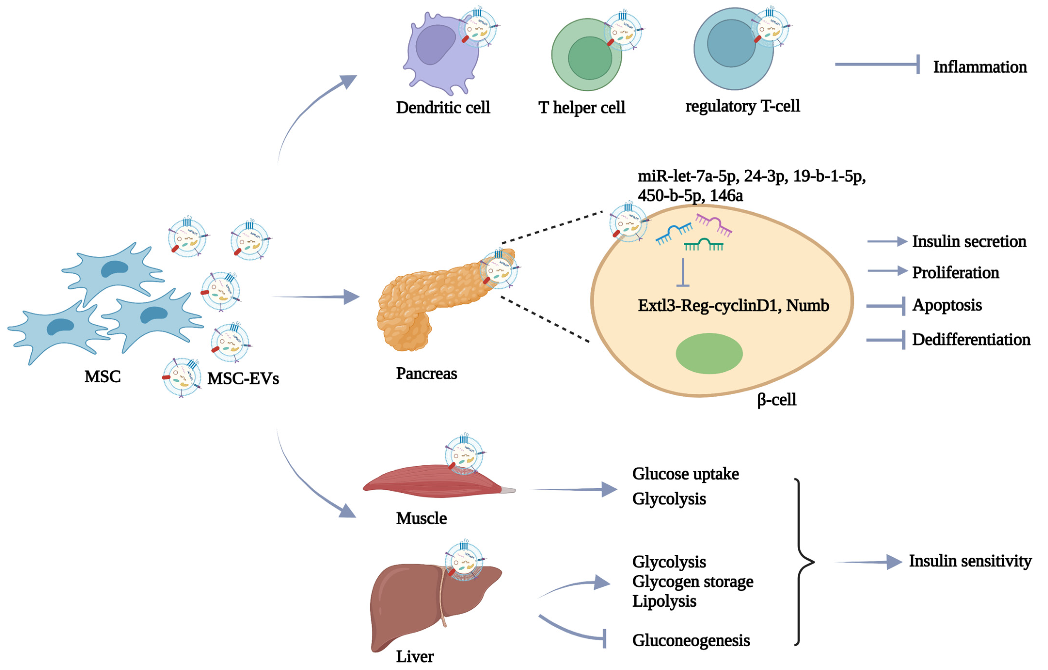 Pharmaceutics 14 02208 g002 Pharmaceutics 14 02208 g002