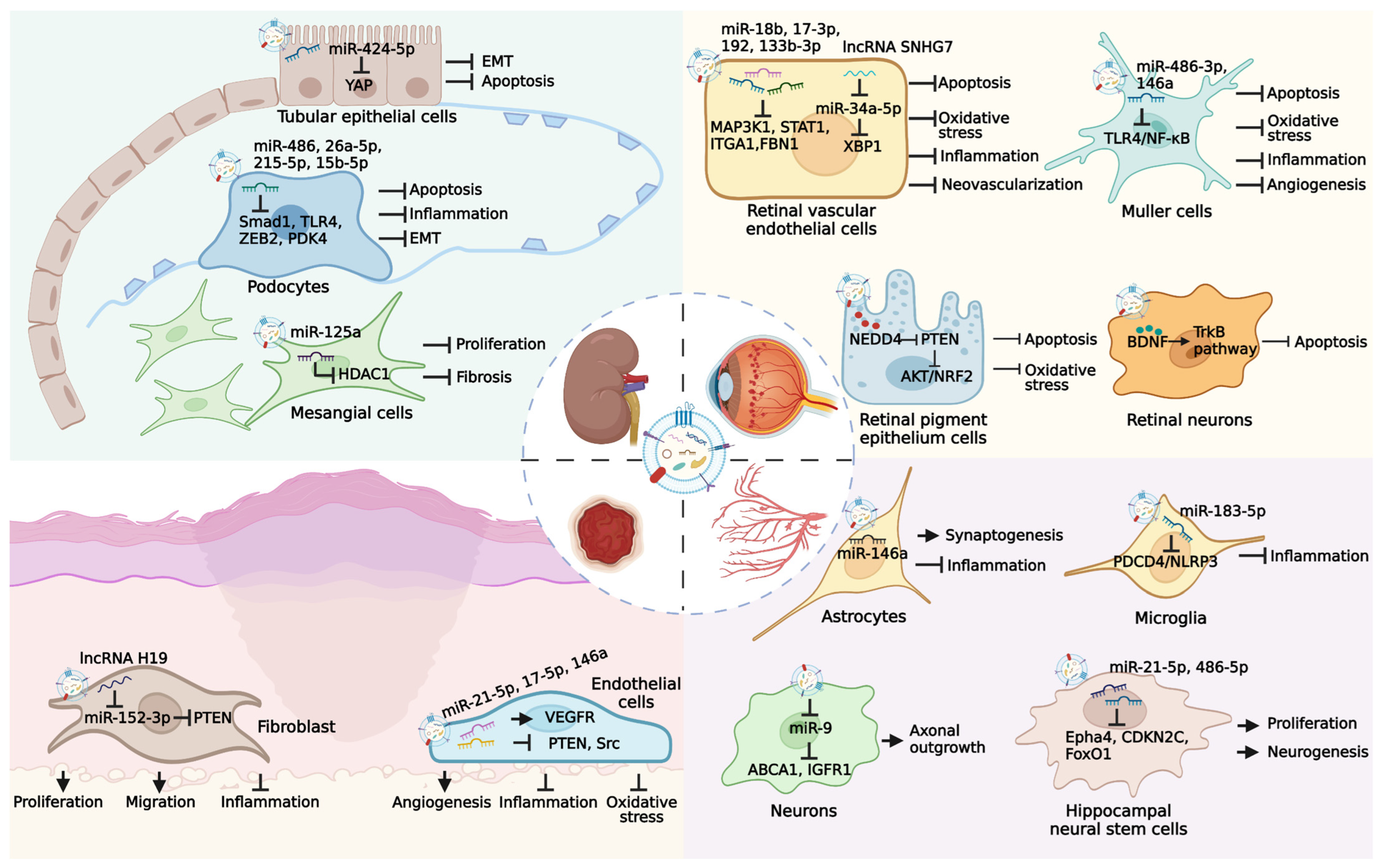 Pharmaceutics 14 02208 g003 Pharmaceutics 14 02208 g003