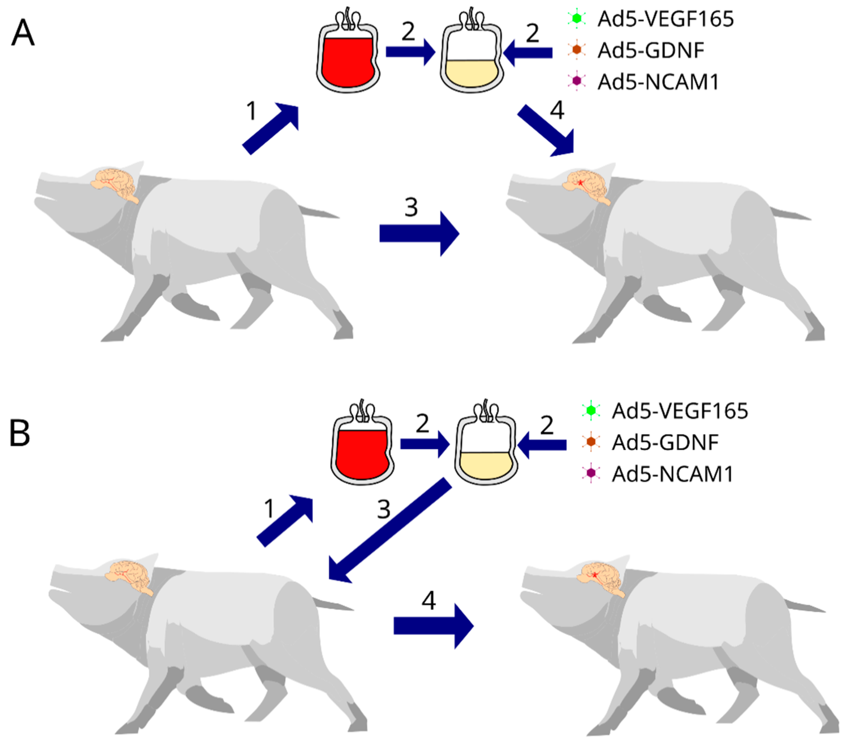 Pharmaceutics 14 02209 g001