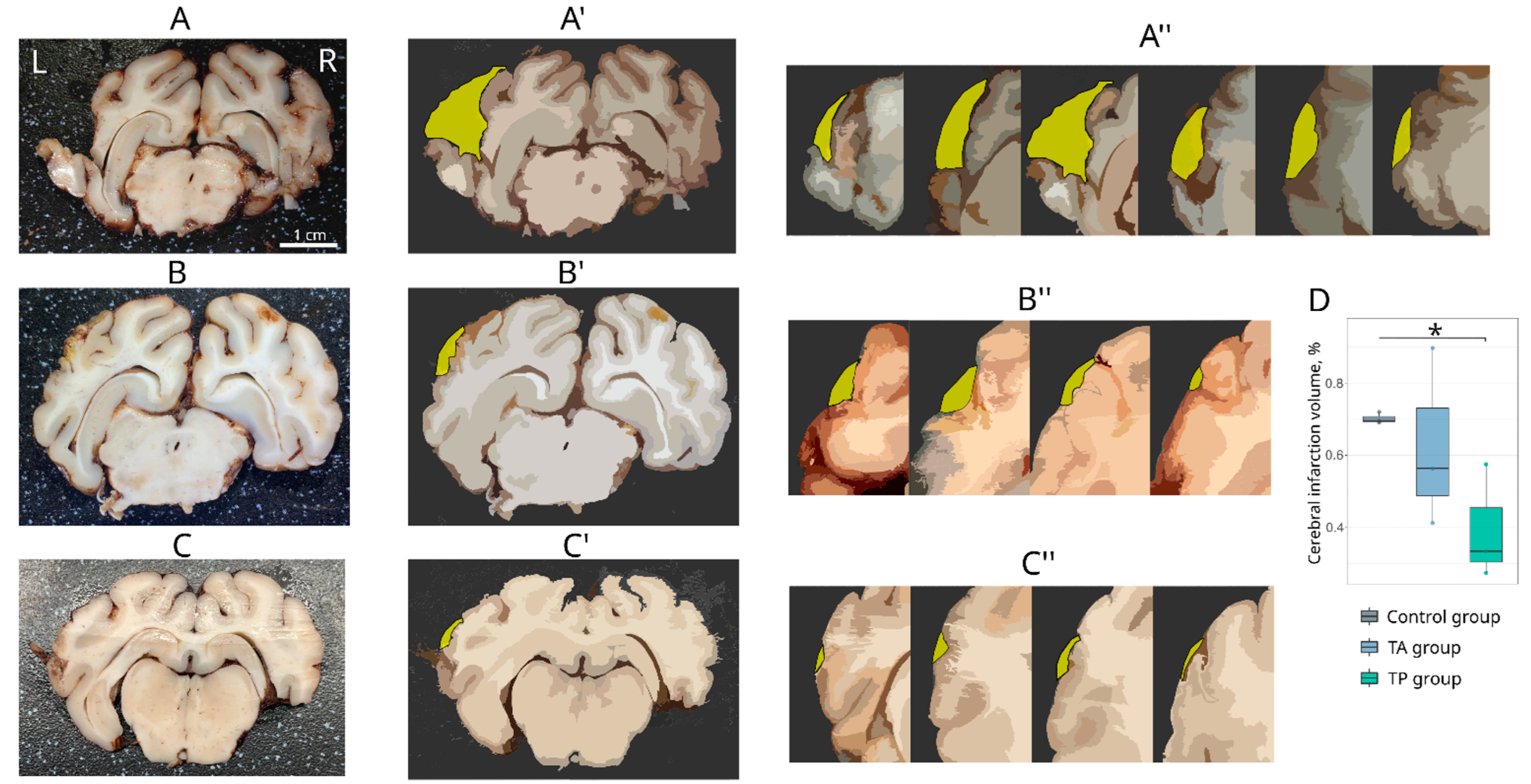 Pharmaceutics 14 02209 g003