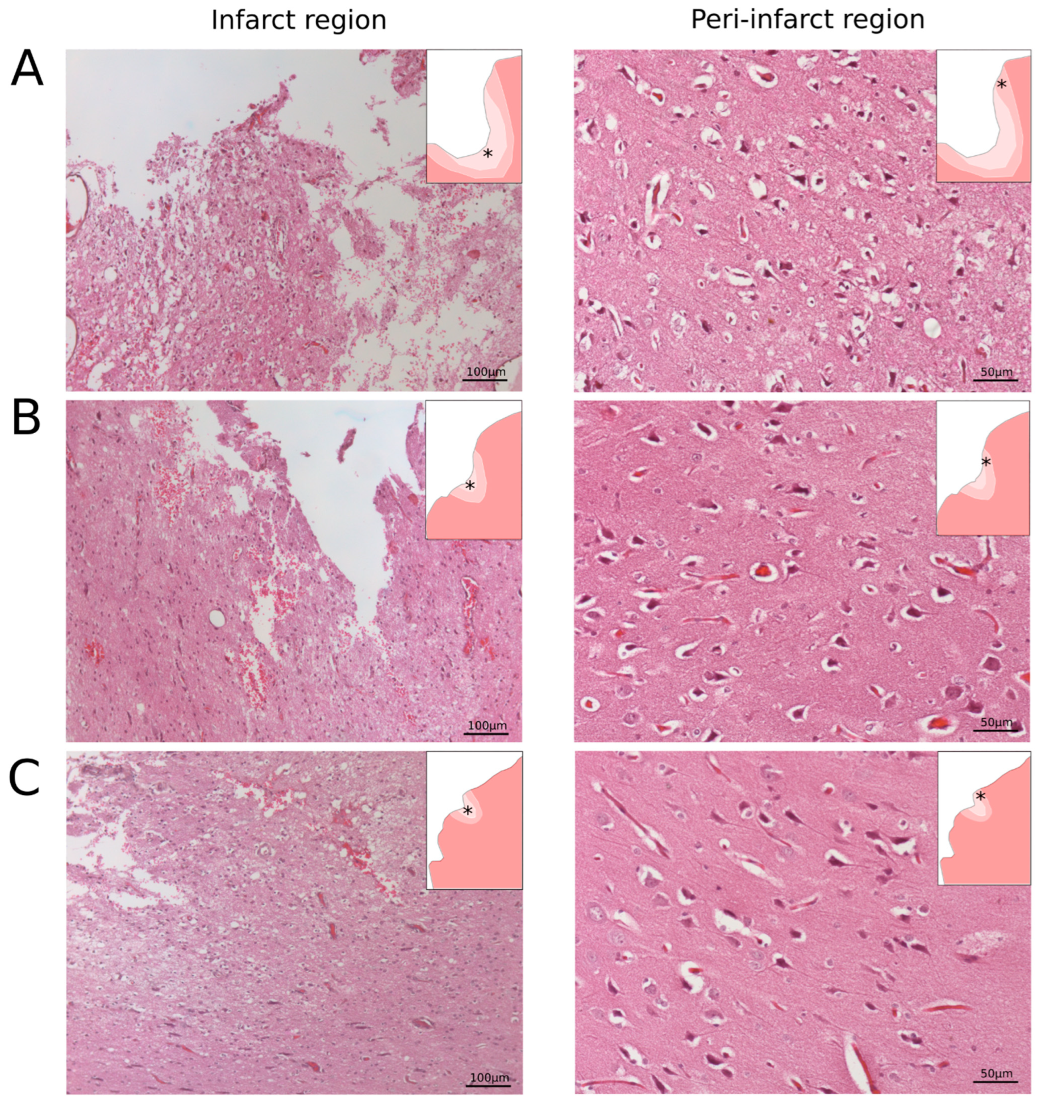 Pharmaceutics 14 02209 g004