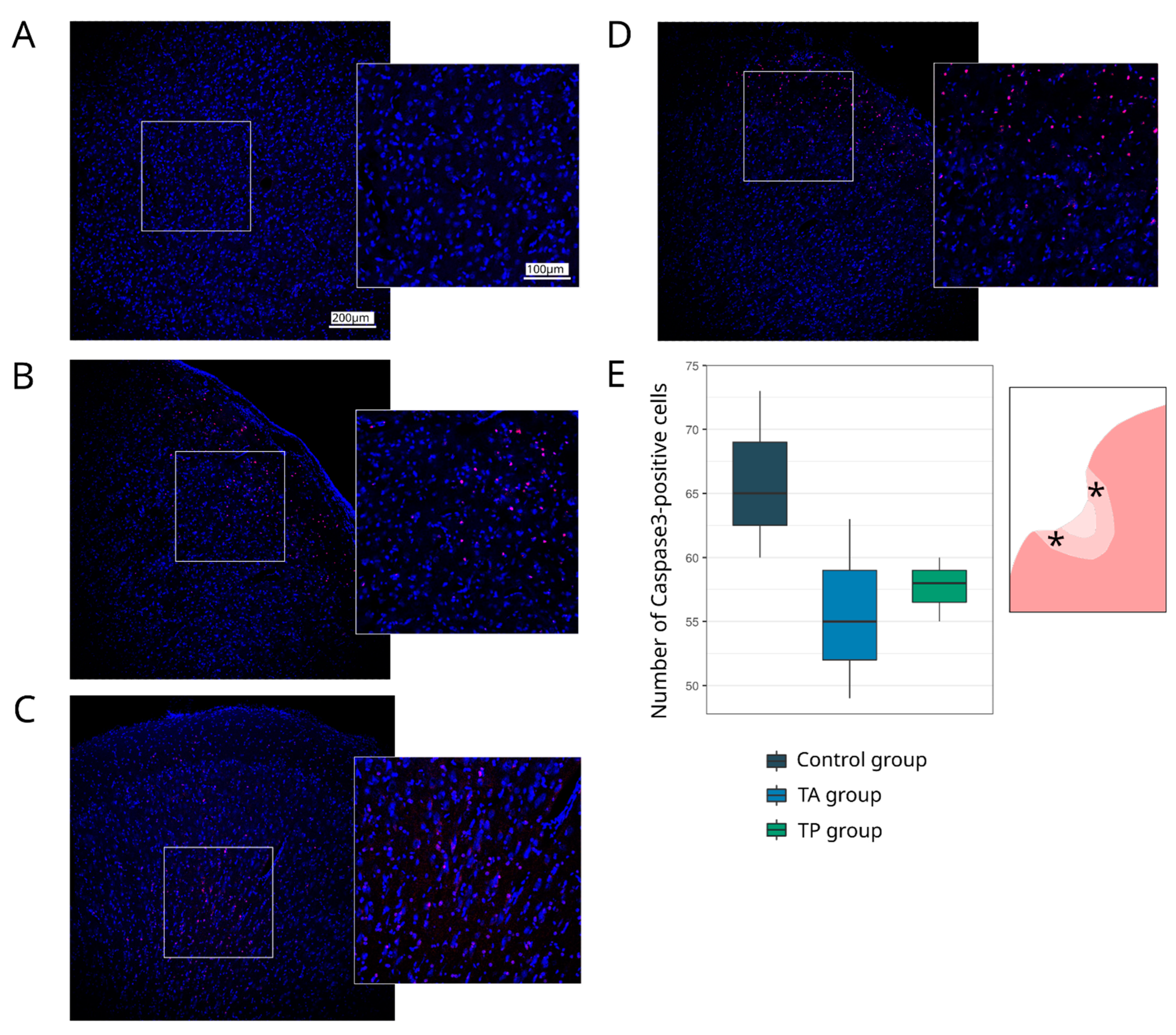 Pharmaceutics 14 02209 g005