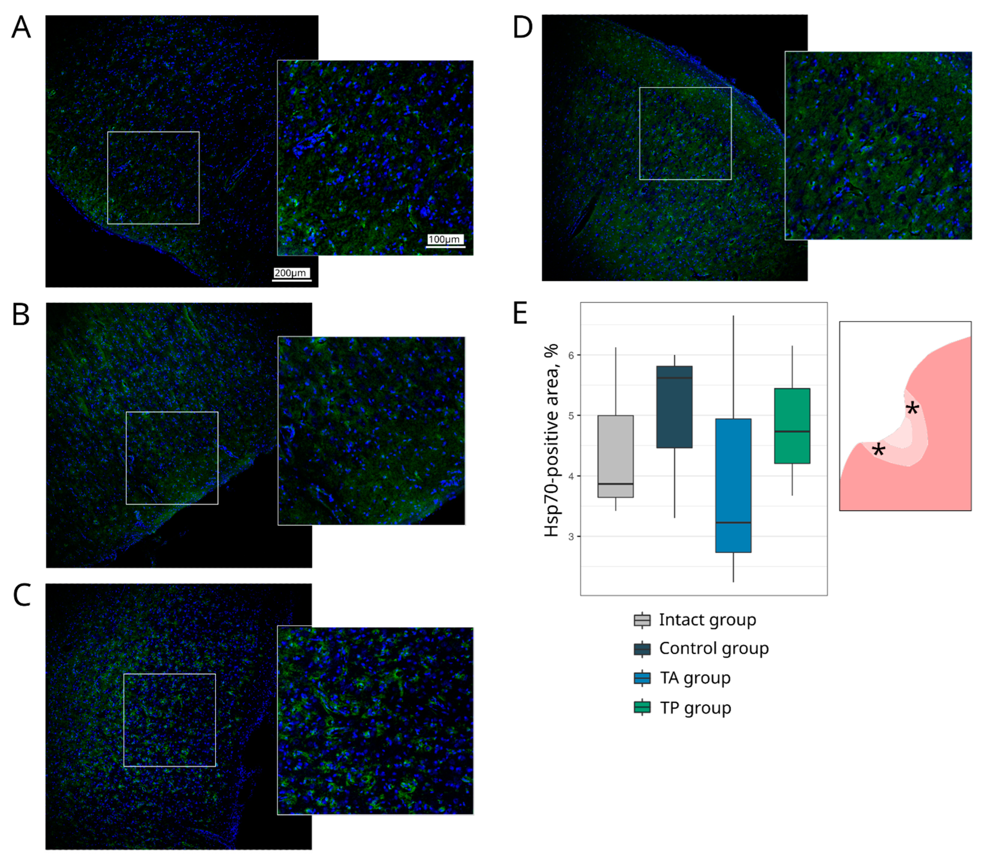 Pharmaceutics 14 02209 g006