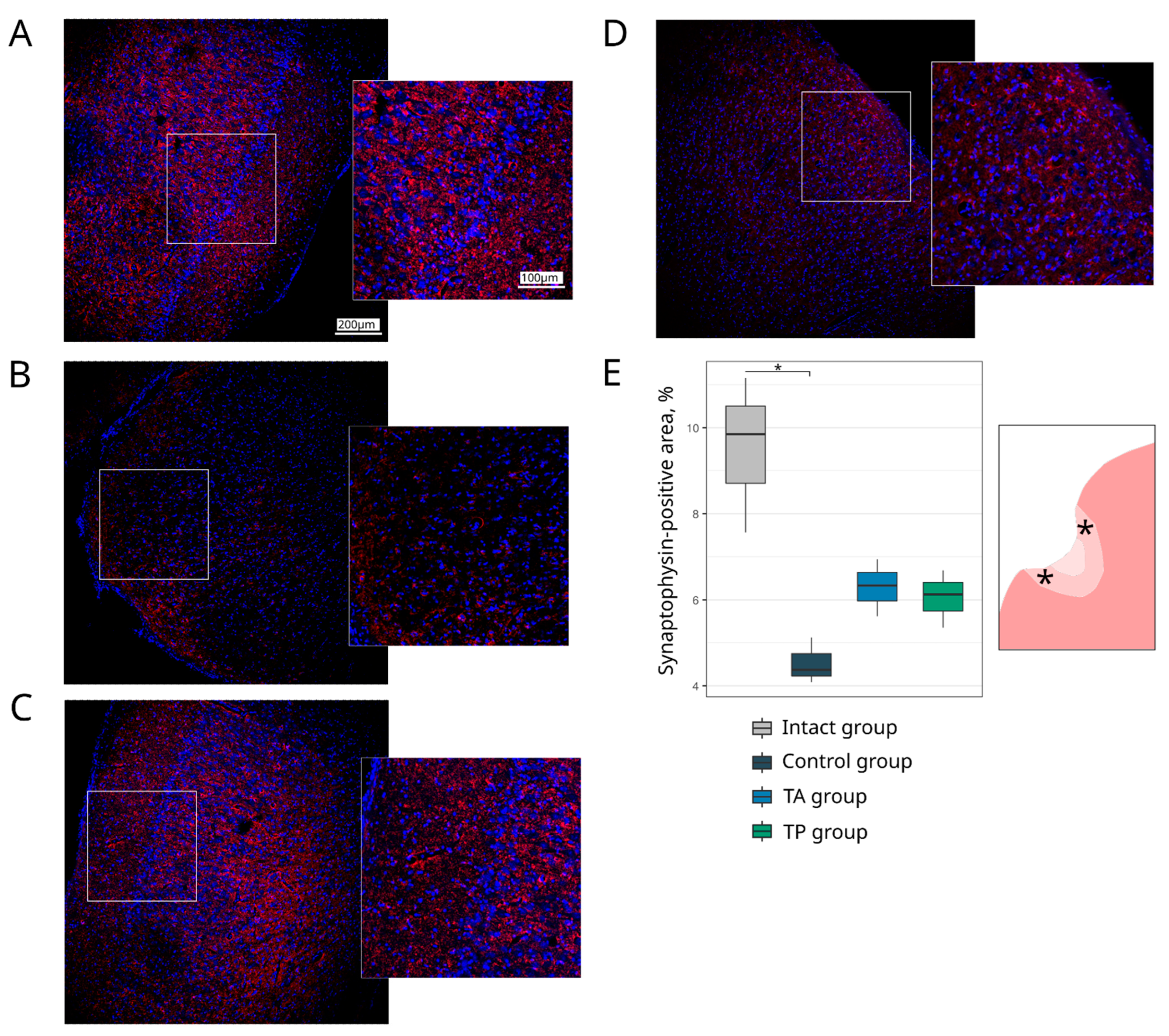 Pharmaceutics 14 02209 g007