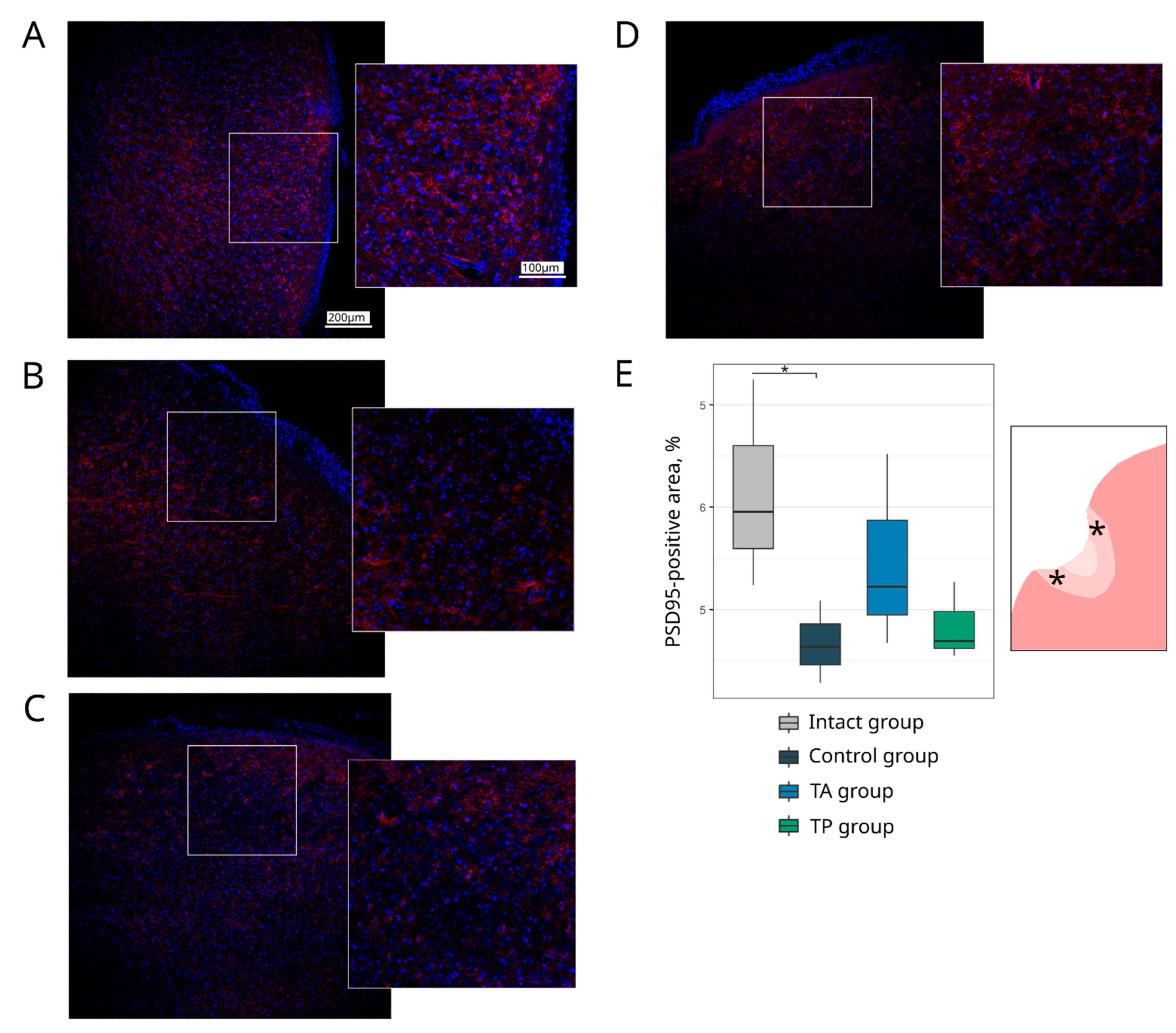 Pharmaceutics 14 02209 g008
