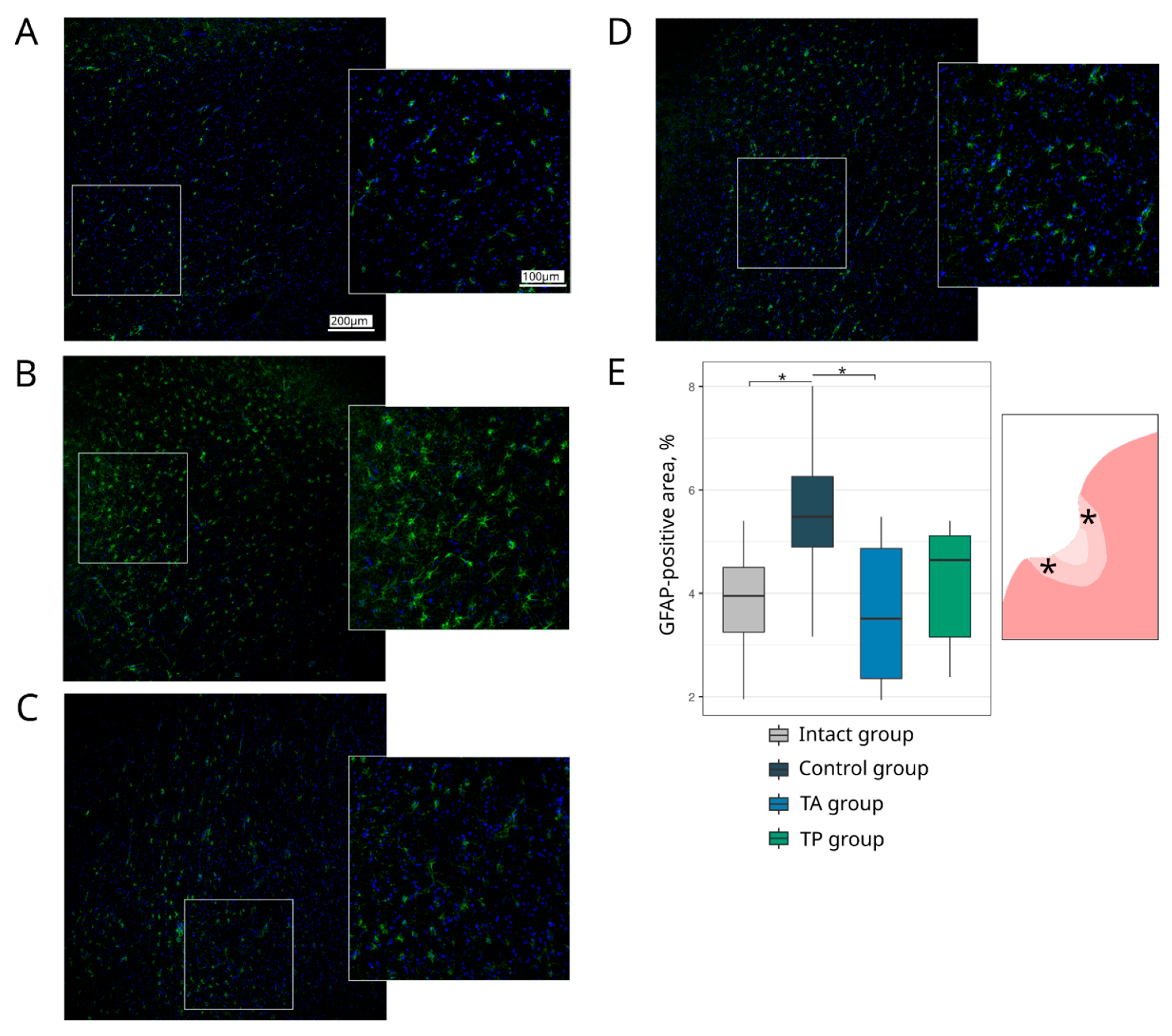 Pharmaceutics 14 02209 g009