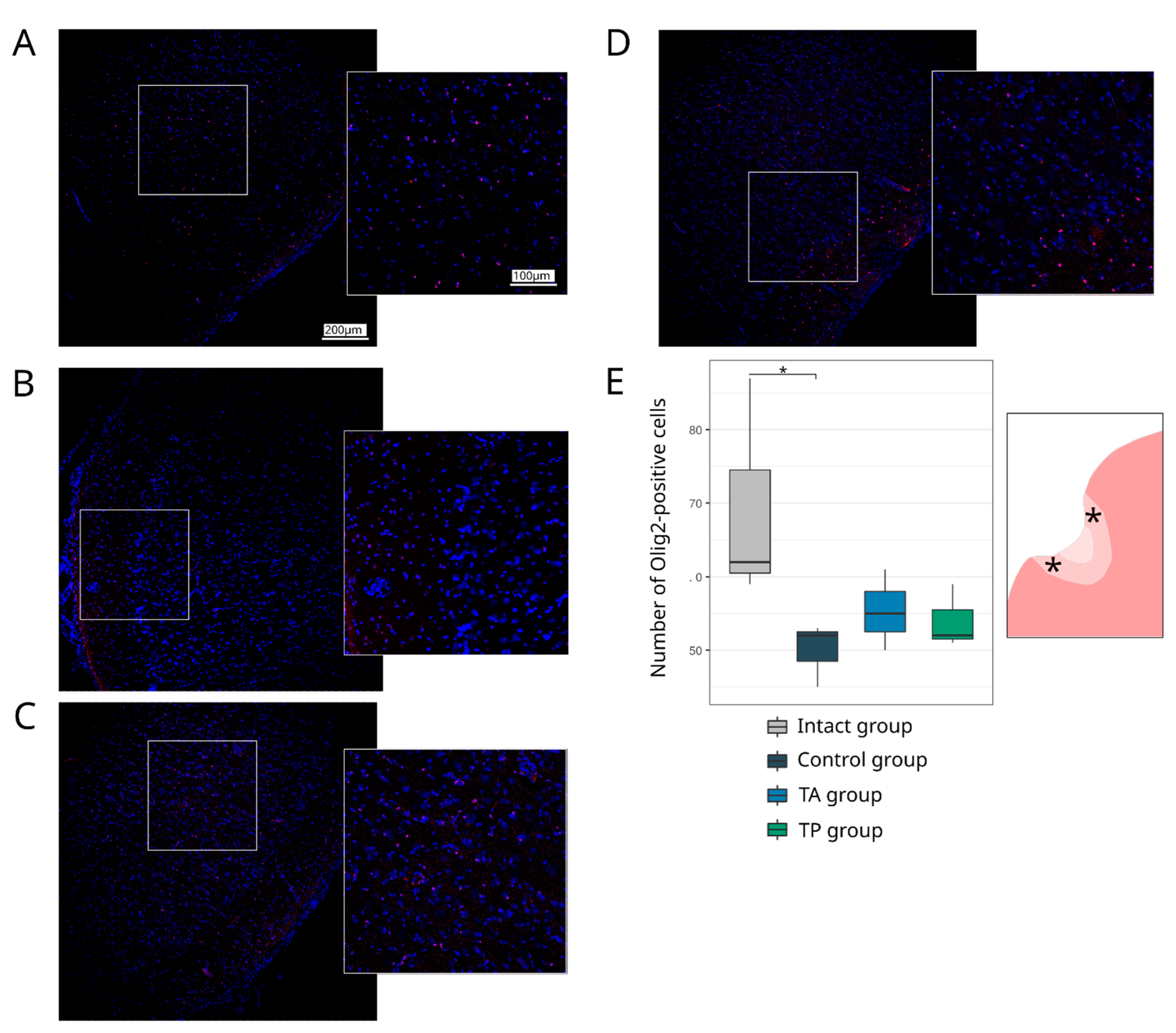 Pharmaceutics 14 02209 g010