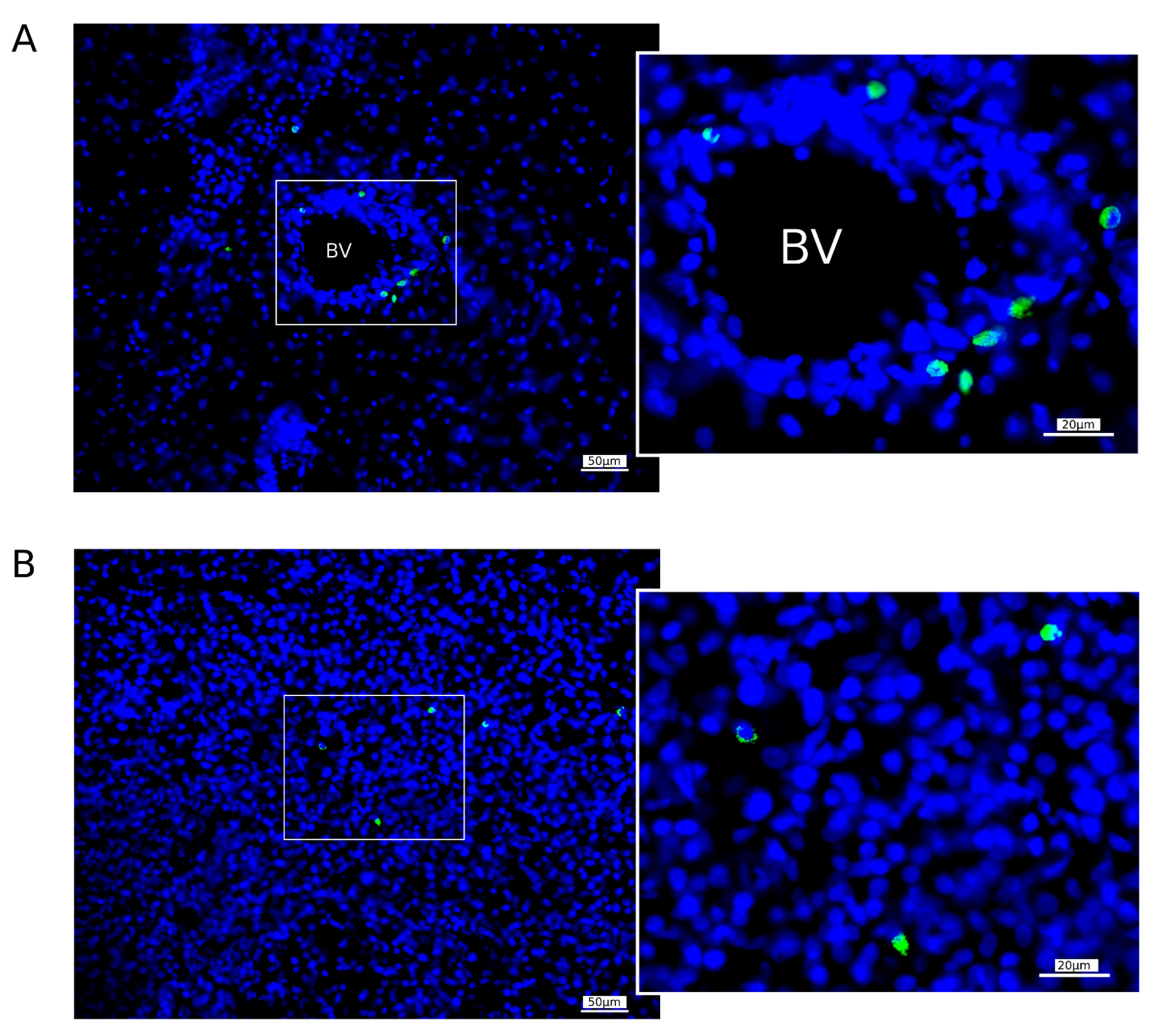 Pharmaceutics 14 02209 g012