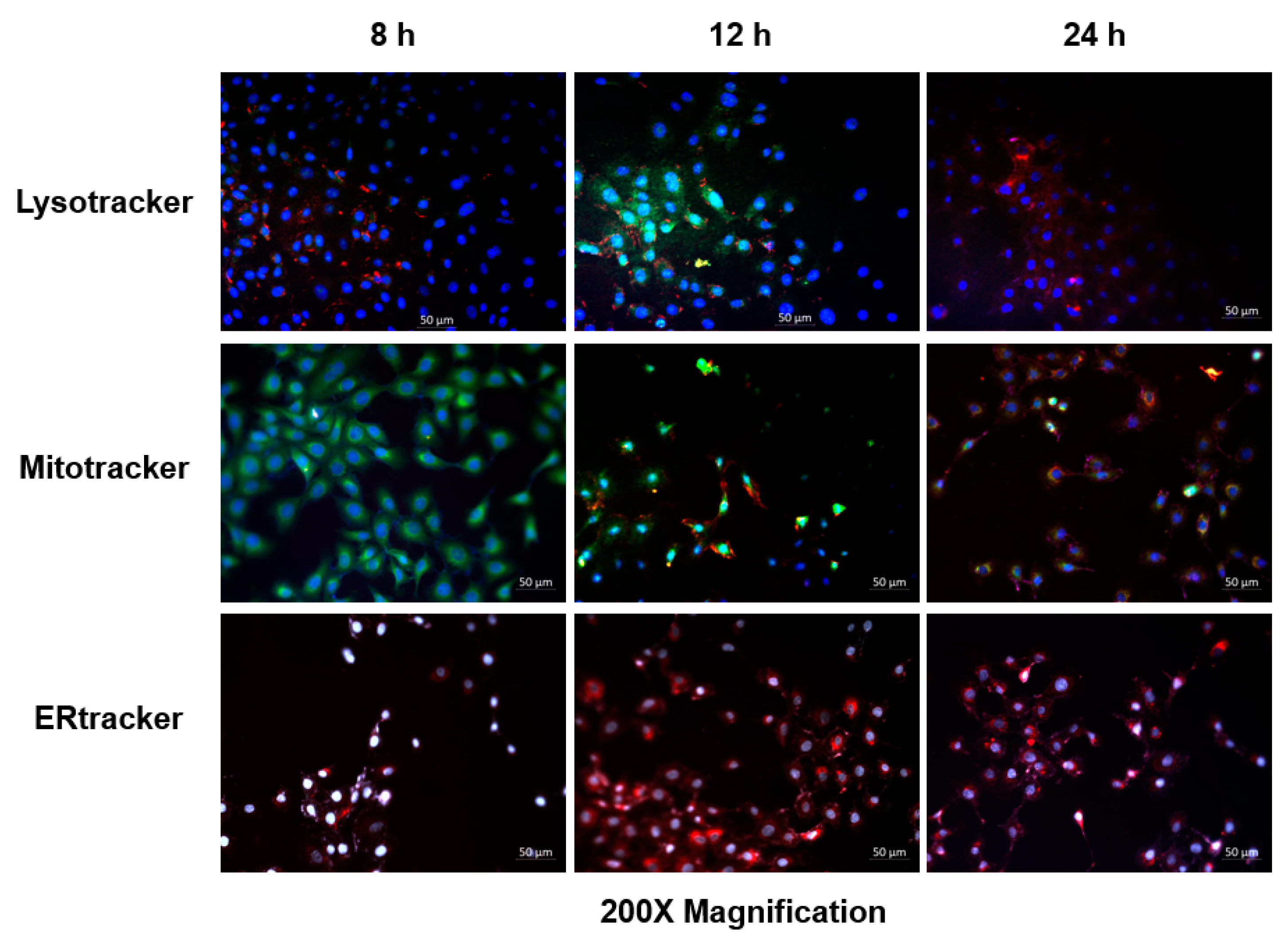 Pharmaceutics 14 02212 g004