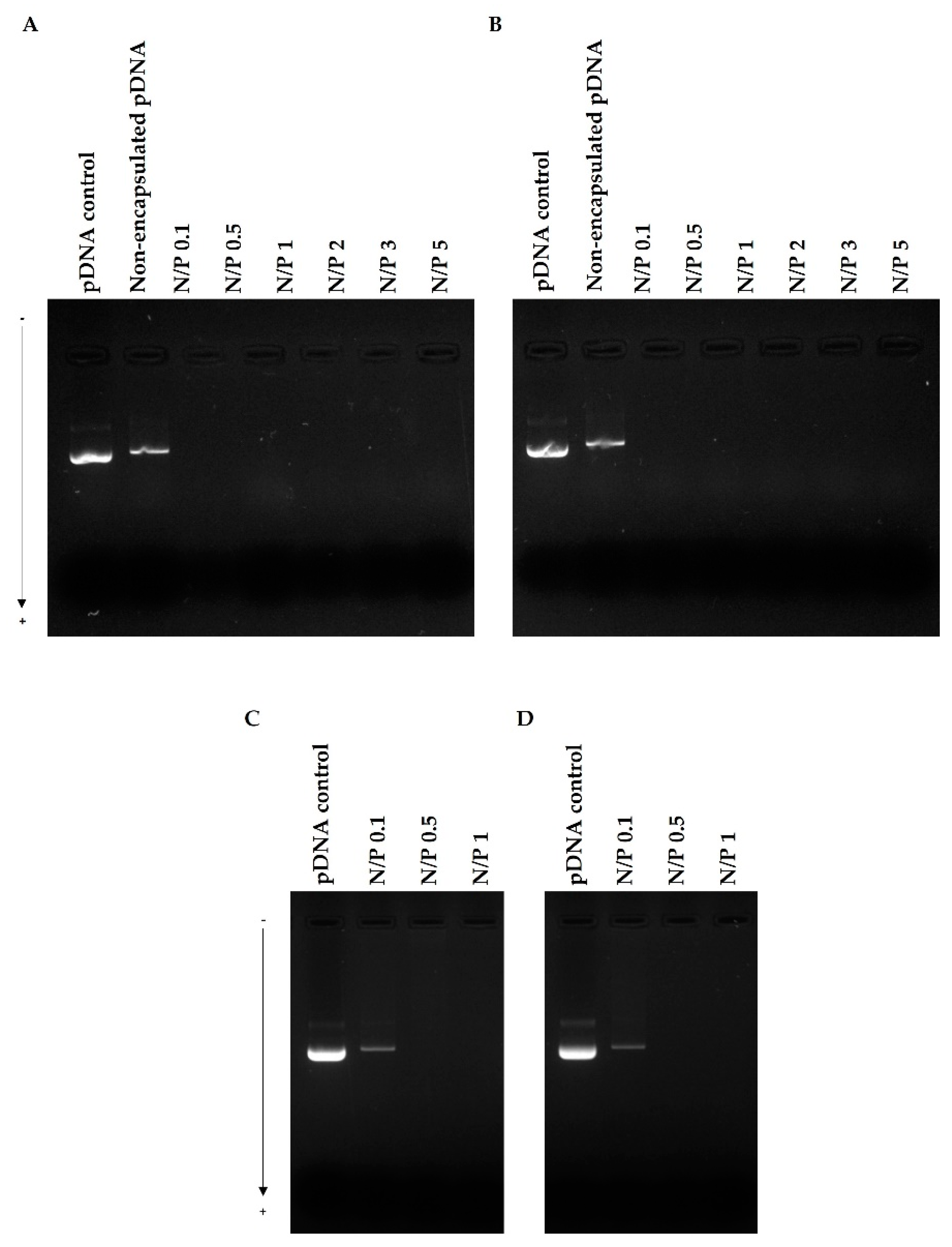 Pharmaceutics 14 02213 g002 Pharmaceutics 14 02213 g002
