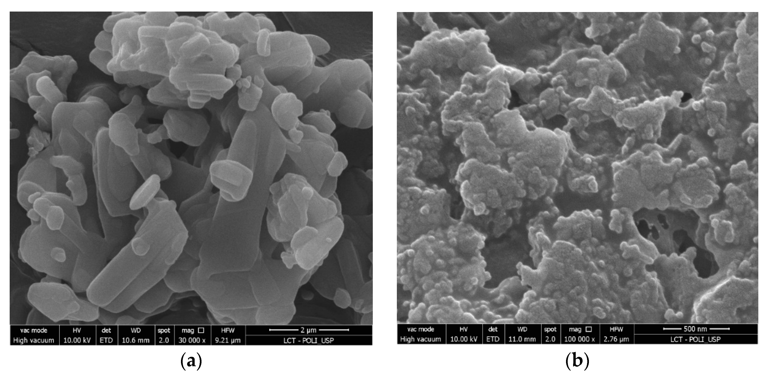 Pharmaceutics 14 02221 g005