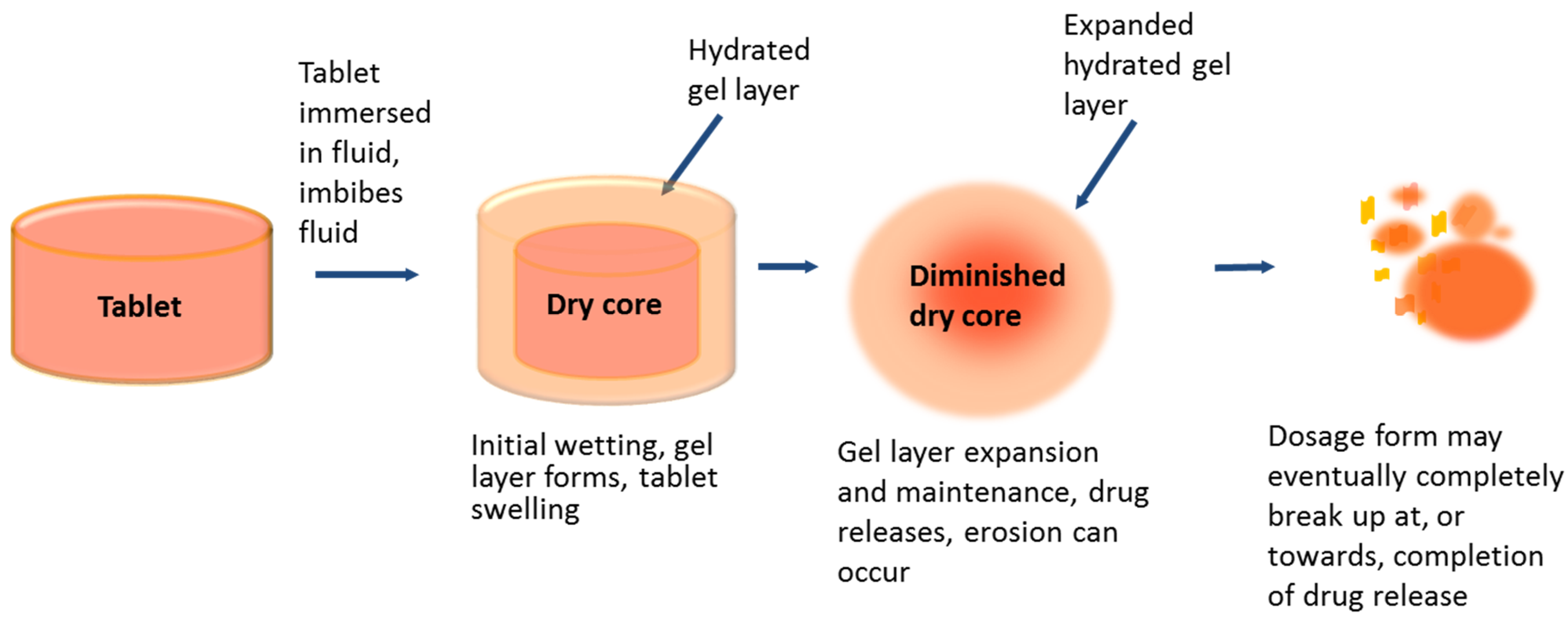 Pharmaceutics 14 02222 g002