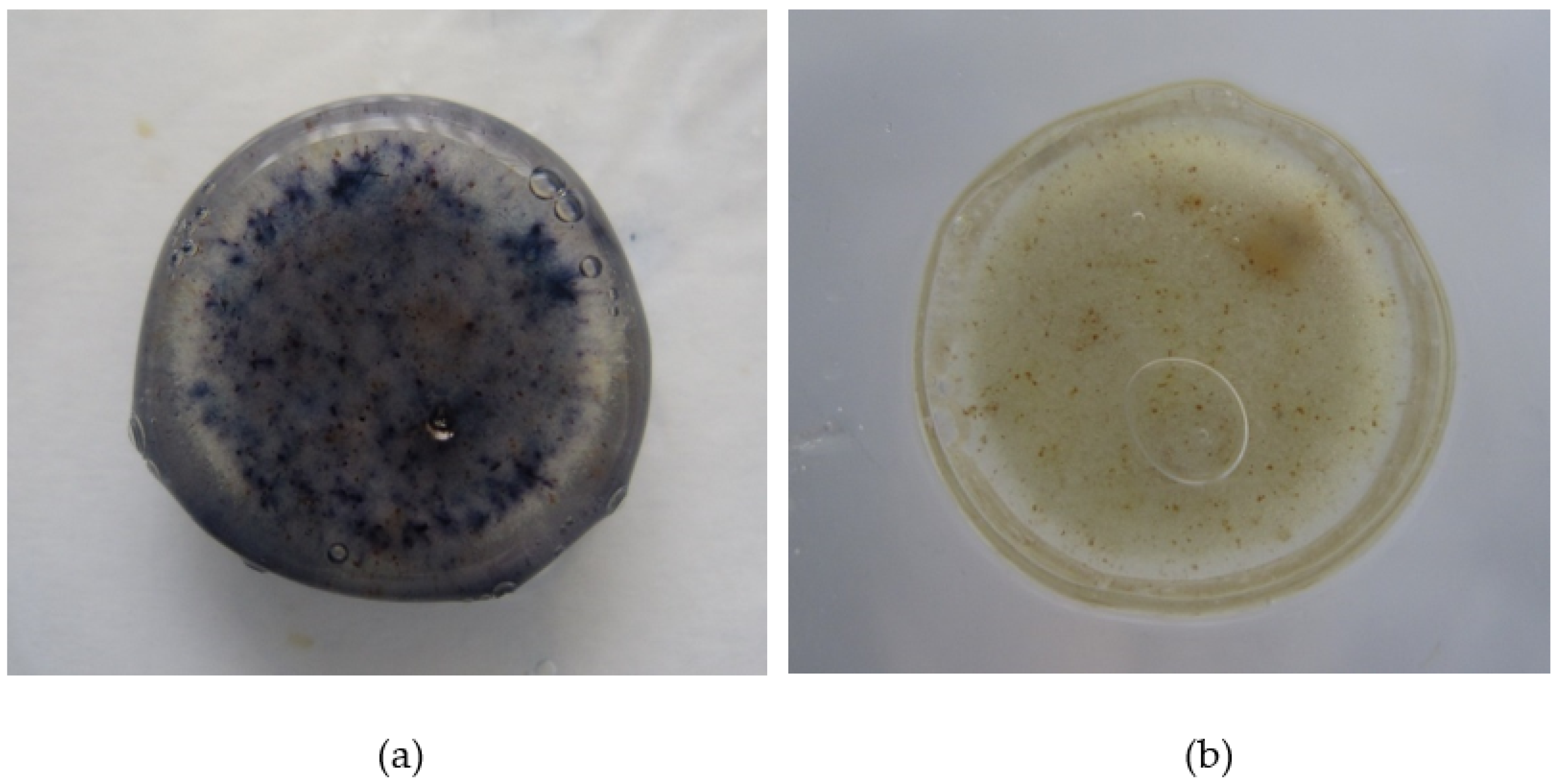Pharmaceutics 14 02222 g004