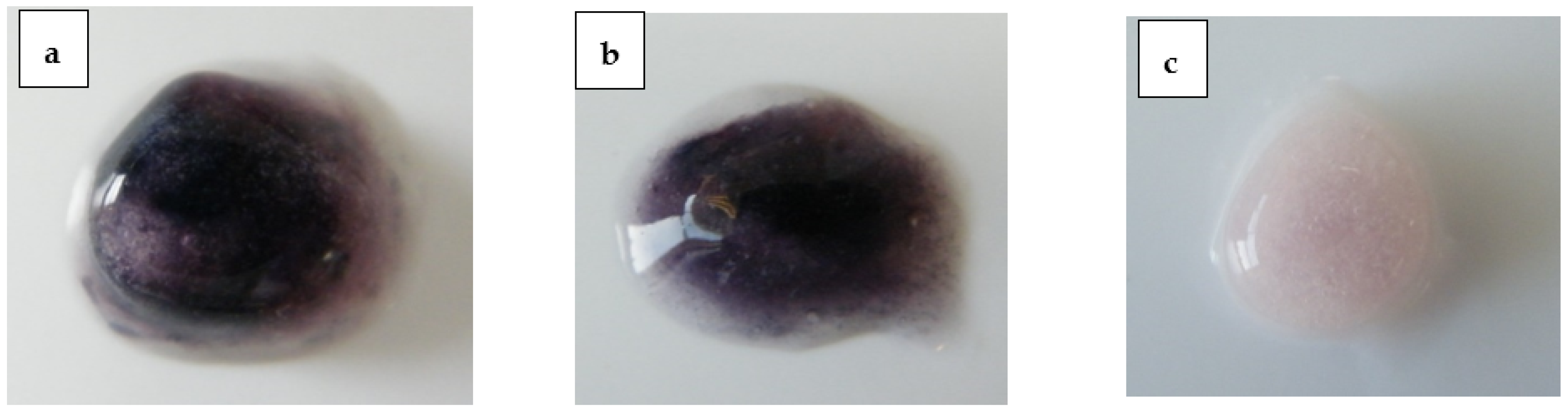 Pharmaceutics 14 02222 g008
