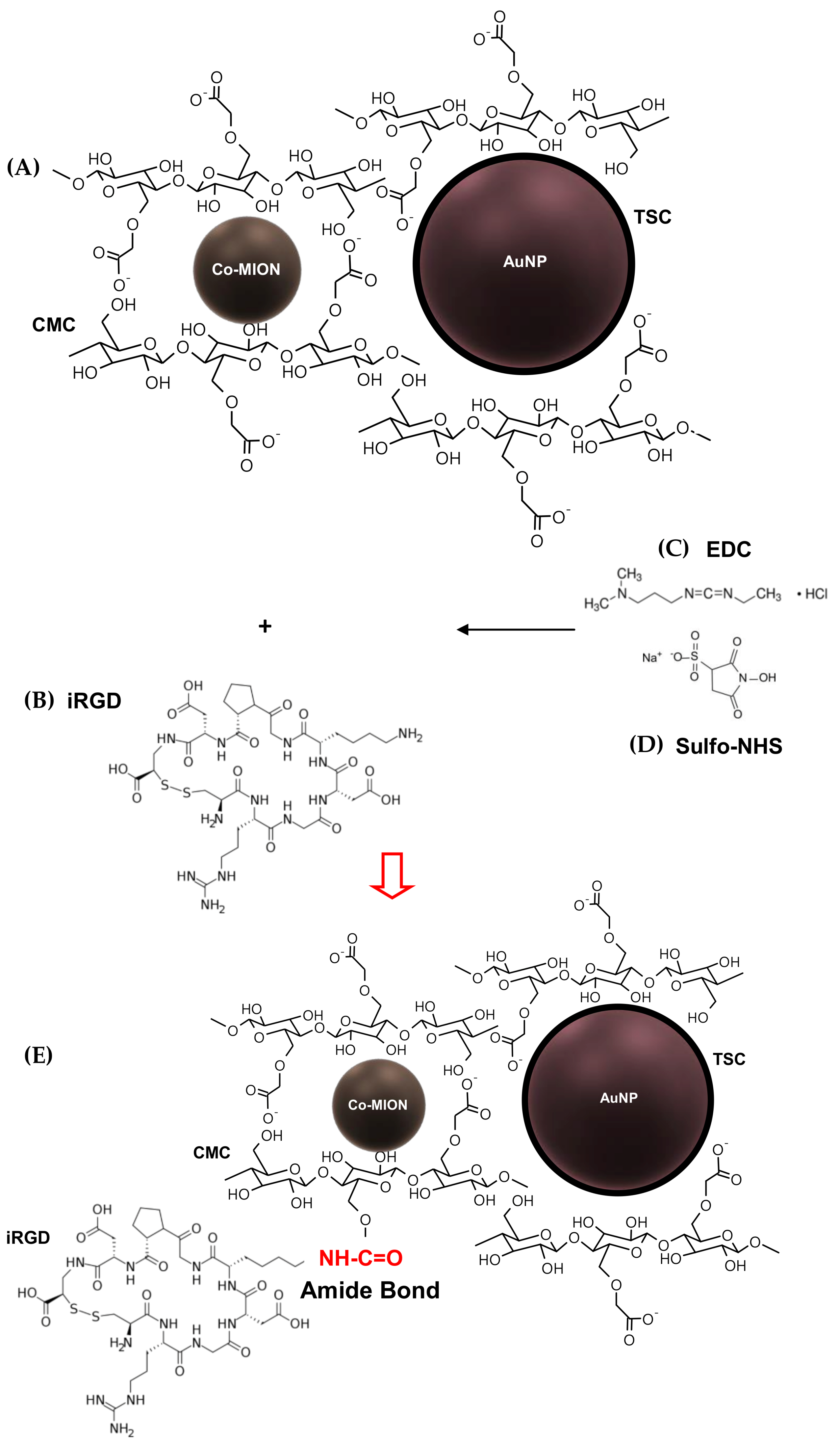 Pharmaceutics 14 02223 g001
