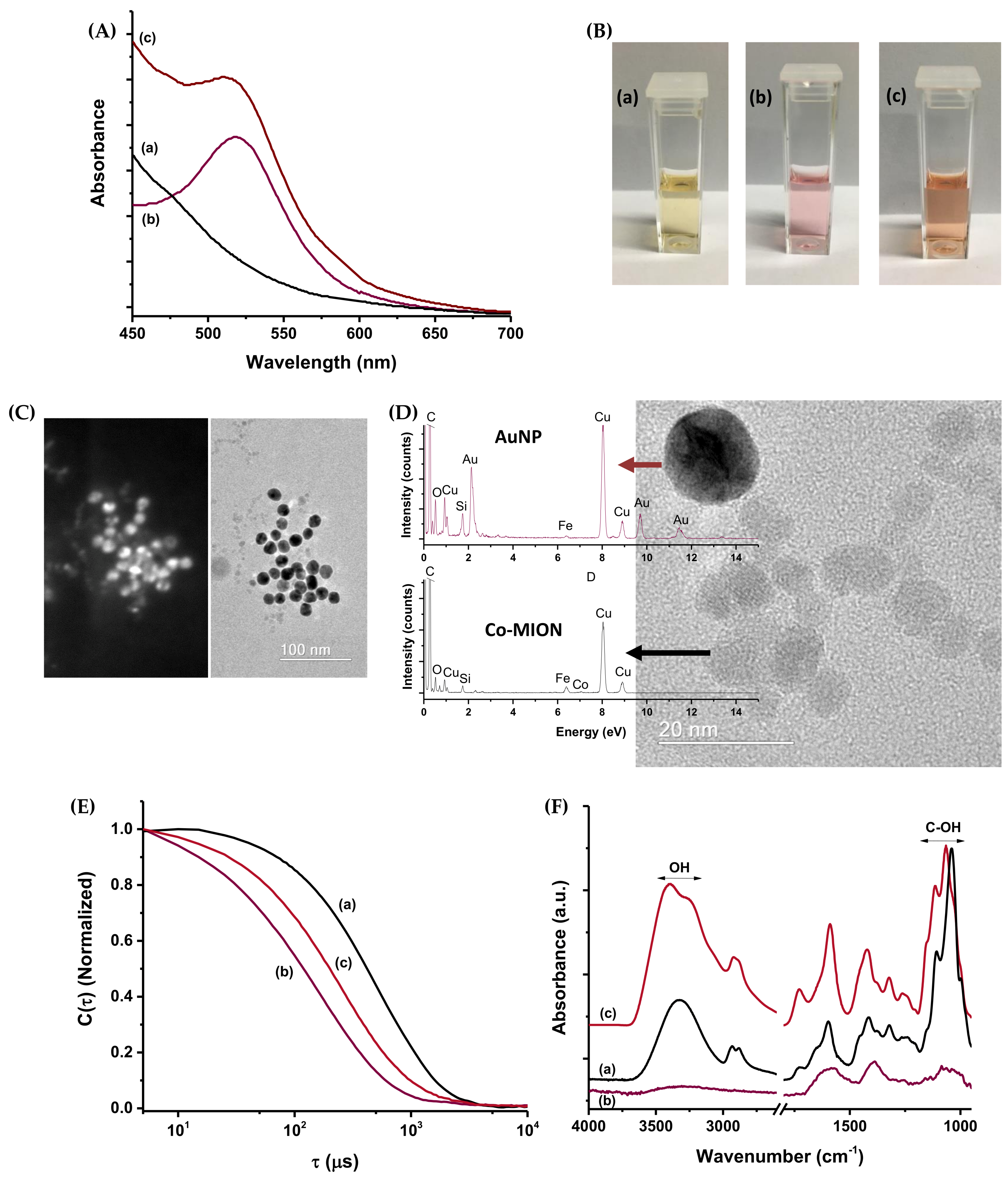 Pharmaceutics 14 02223 g004