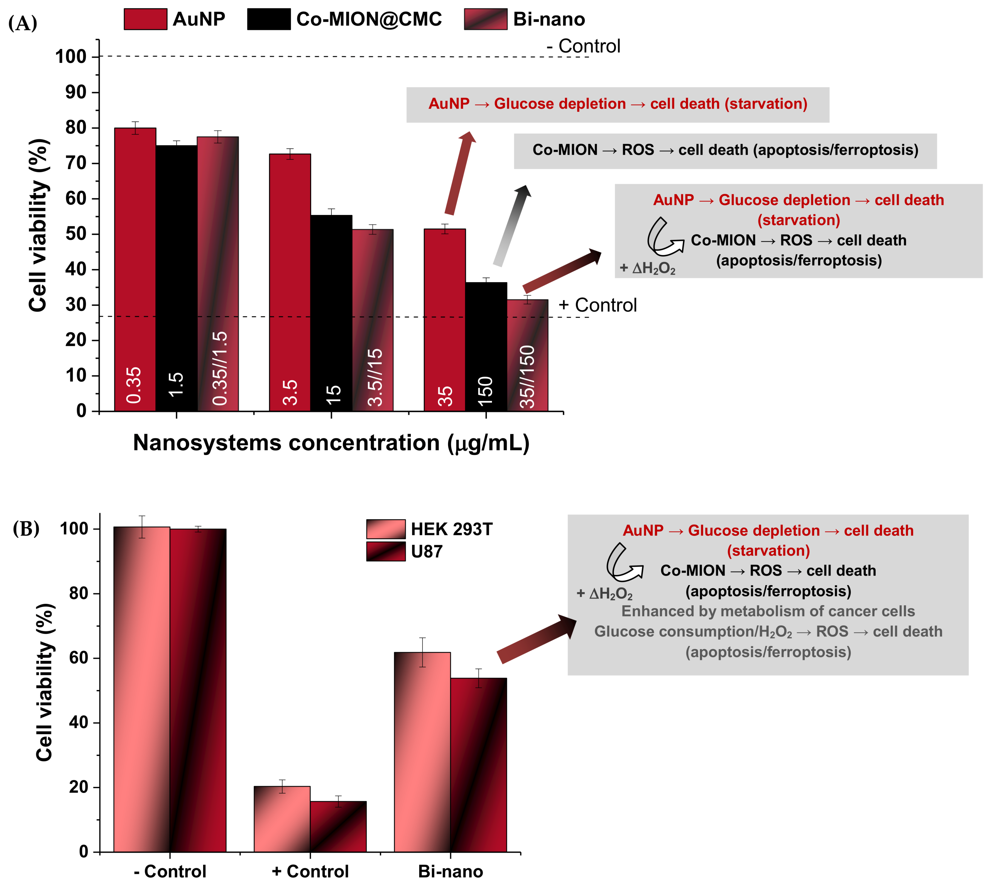 Pharmaceutics 14 02223 g007
