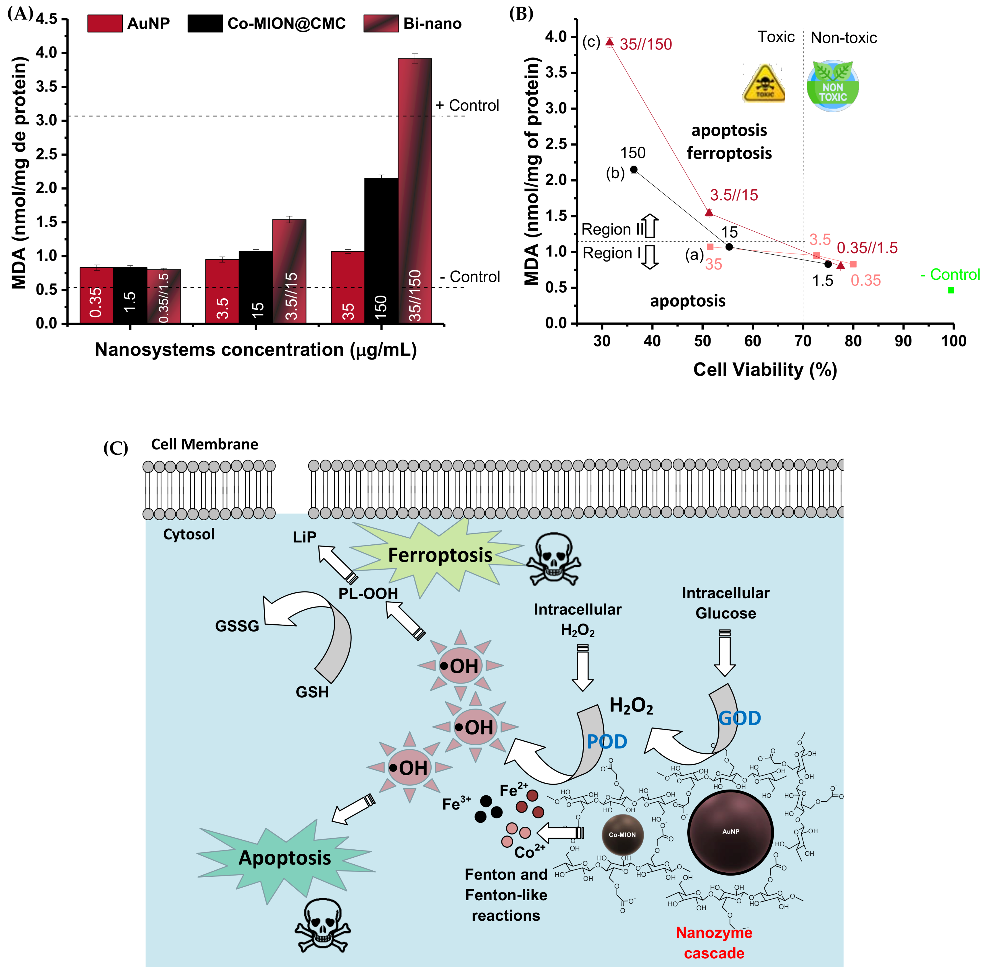 Pharmaceutics 14 02223 g008