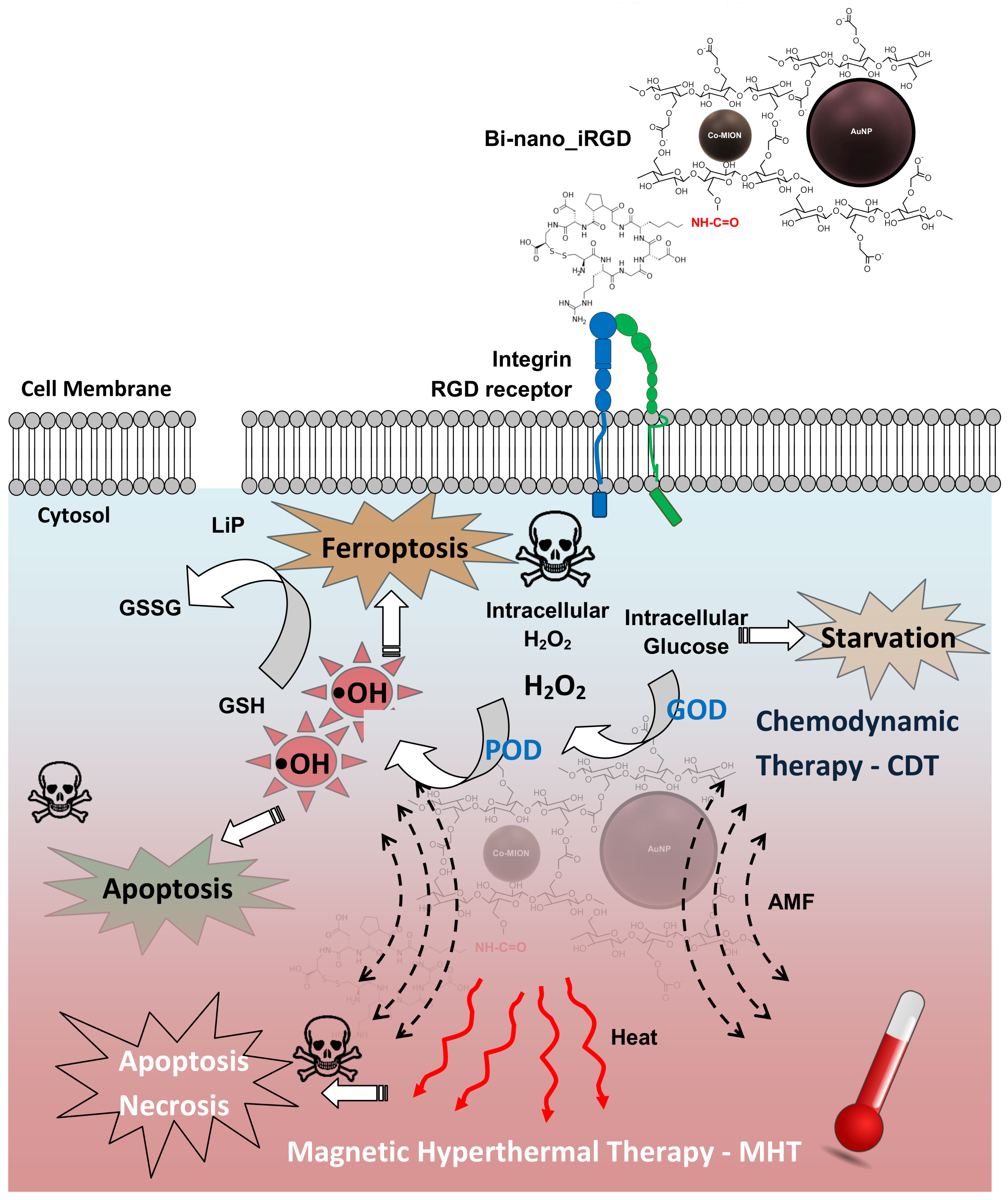 Pharmaceutics 14 02223 g011