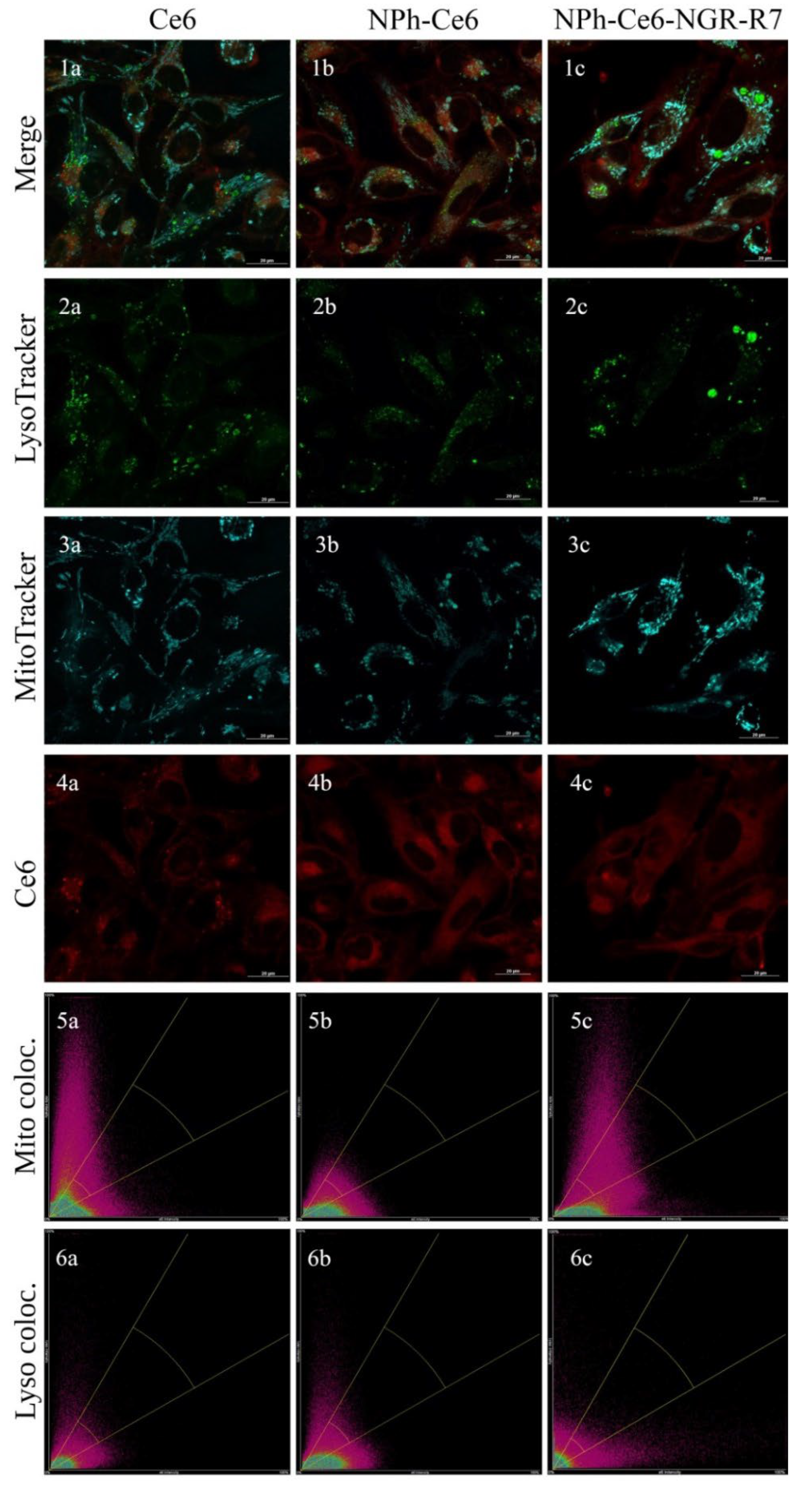 Pharmaceutics 14 02224 g001