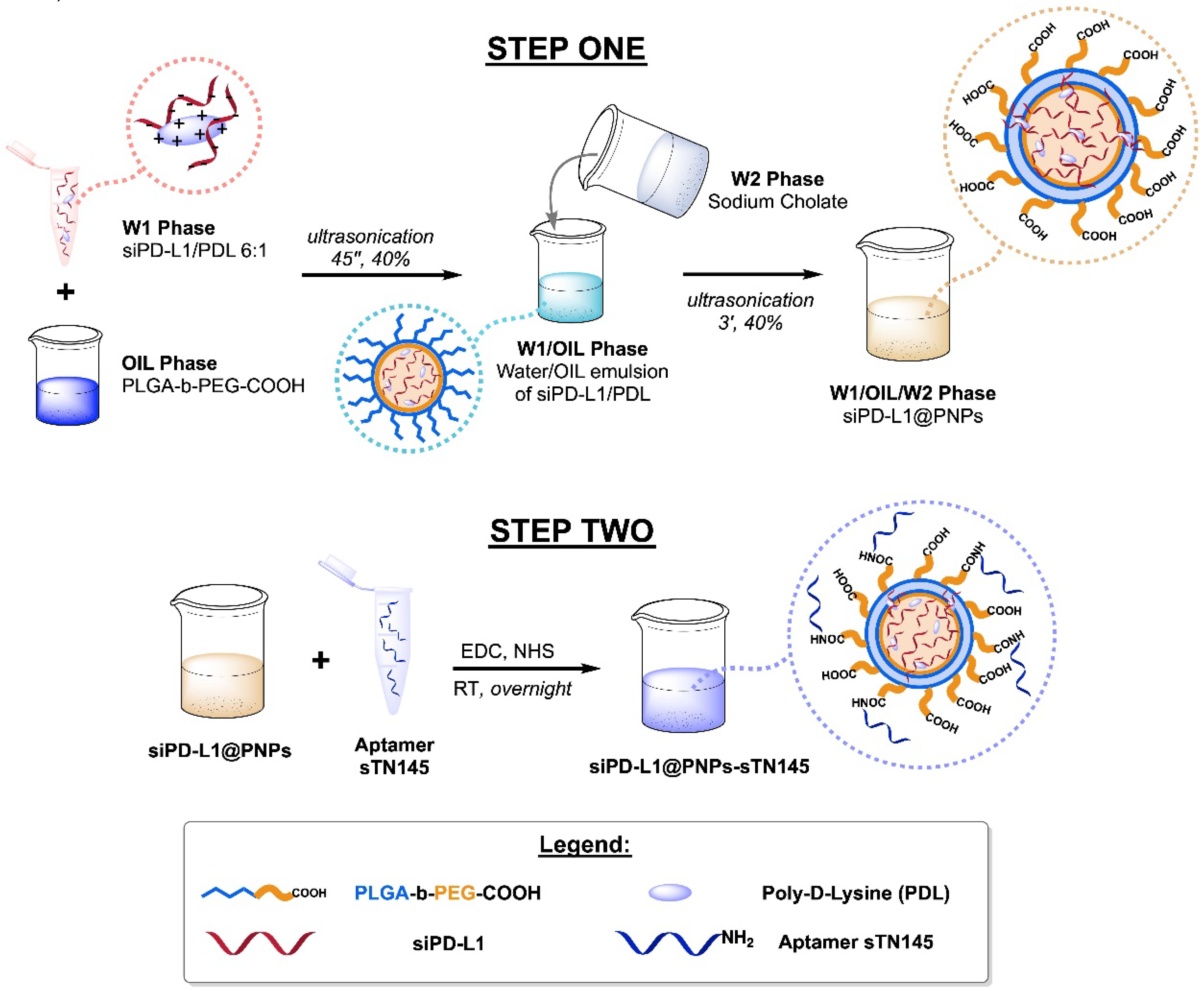 Pharmaceutics 14 02225 g001